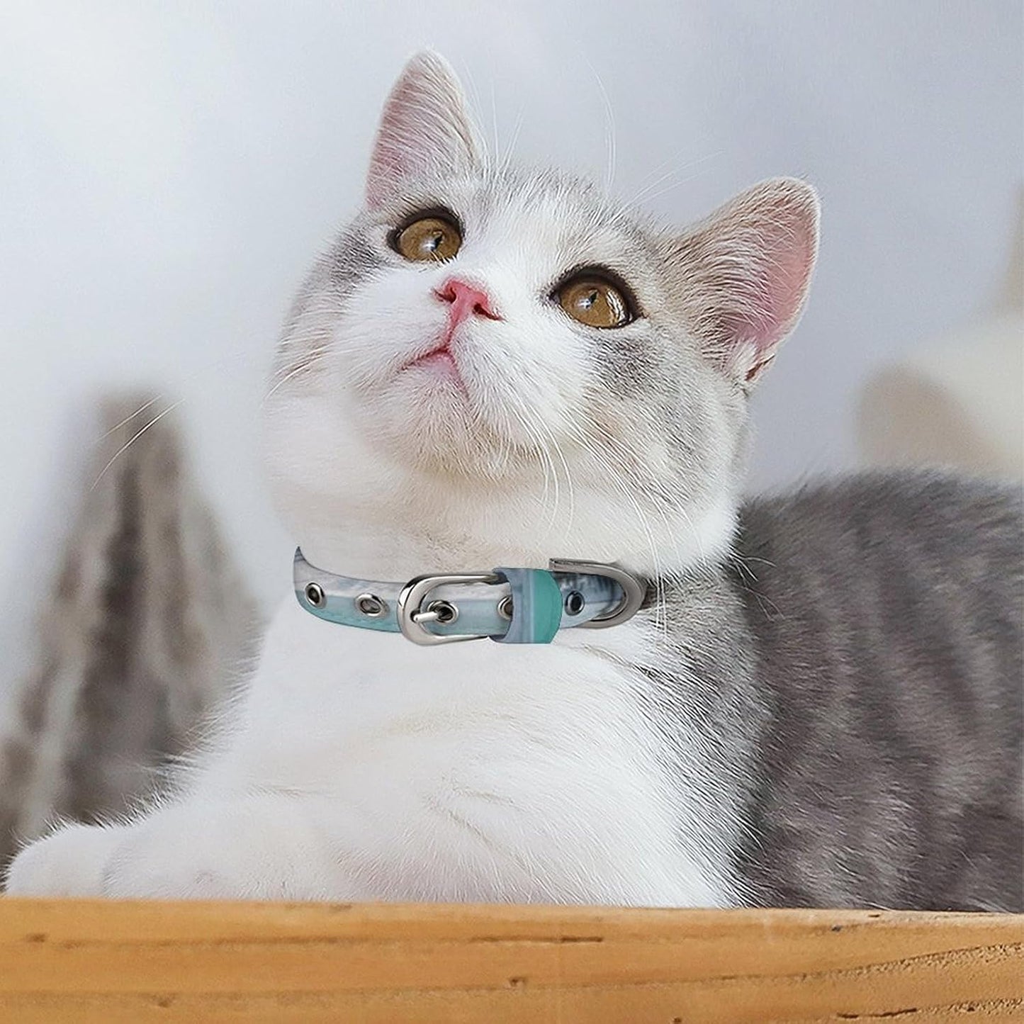 Alpine Lake View Dog Collar with Buckle Adjustable Martingale Pet Collars Cute Female Male Puppy Collar Soft Waterproof Cat Collars for Small Medium Dogs