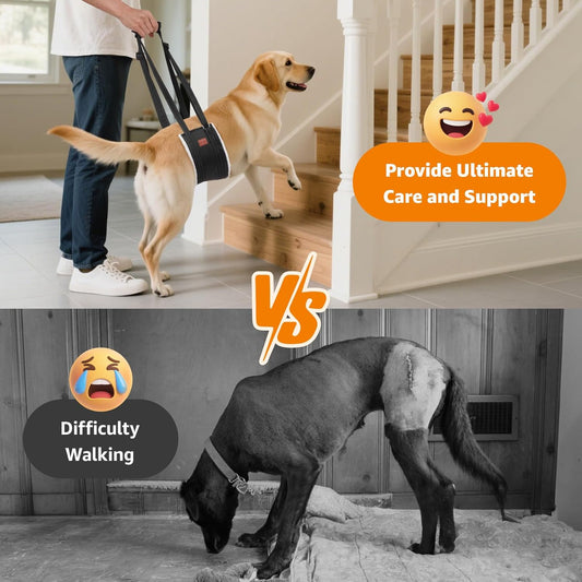 LOOBANI Portable Dog Sling for Back Legs, Hip Support Harness to Help Lift Rear for Canine Aid Old K9 Cruciate Ligament Rehabilitation
