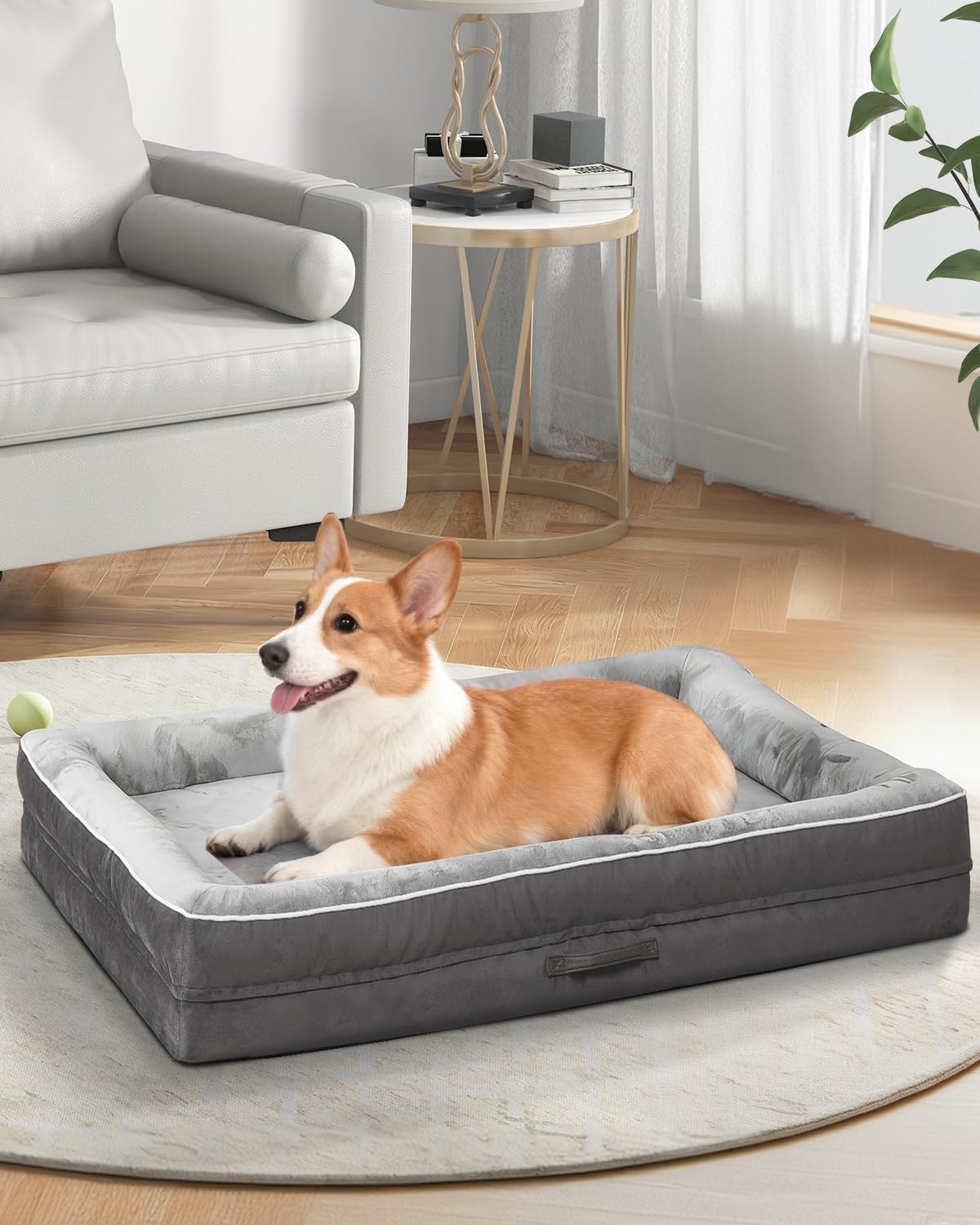 Orthopedic Dog Bed, Four-Sided Cushioned Egg-Shaped Foam Dog Sofa, Waterproof Removable Cover, Pet Sofa Bed with Non-Slip Base, Large Pet Bed,Gray