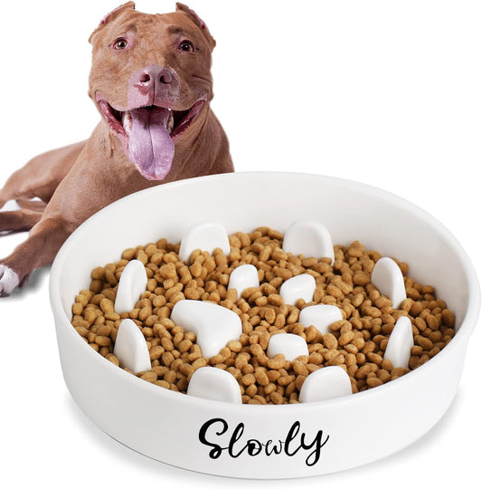 Slow Feeder Dog Bowls, Farmhouse Ceramic Fun Slow Eater Bowl for Medium Sized Dog, White