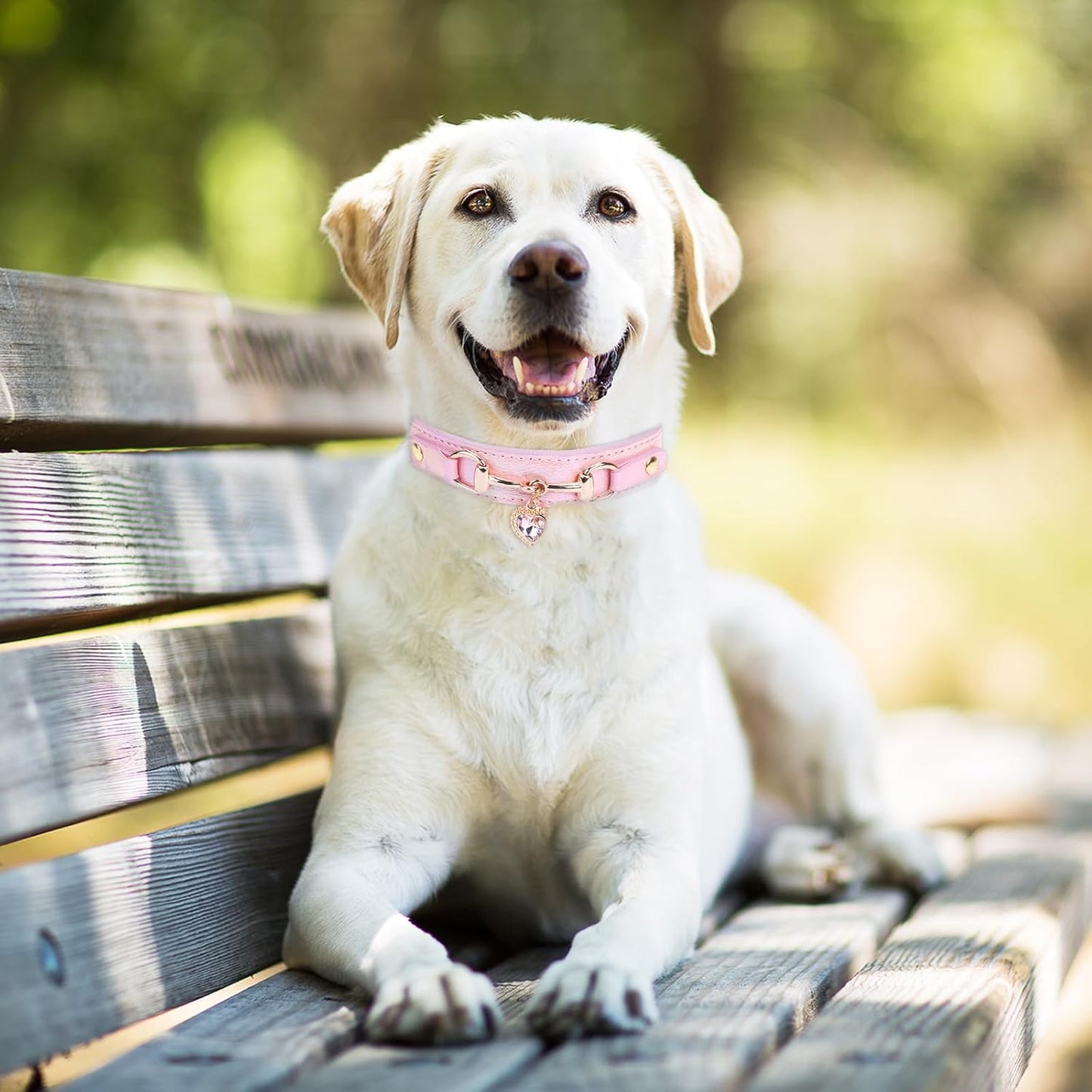 Bling Heart Charm Dog Collar: Pink Adjustable Leather Rhinestones Necklace Collar Pet Accessories for Sizes S Small Medium Dogs,10.6"-13"