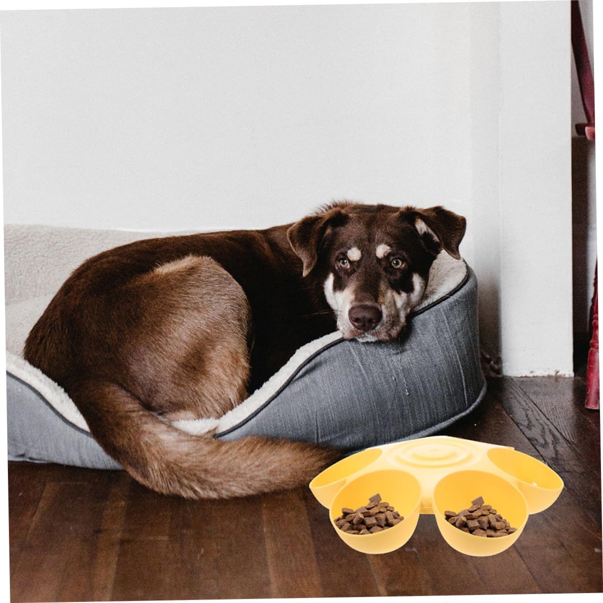Milisten 2pcs Flower Petal Shaped Pet Feeder Bowls, 6-Compartment Plastic Food and Water Dishes, Non-Skid Reusable Indoor Cat and Dog Feeding Supplies, Portable Yellow Bowls for Multi-pet
