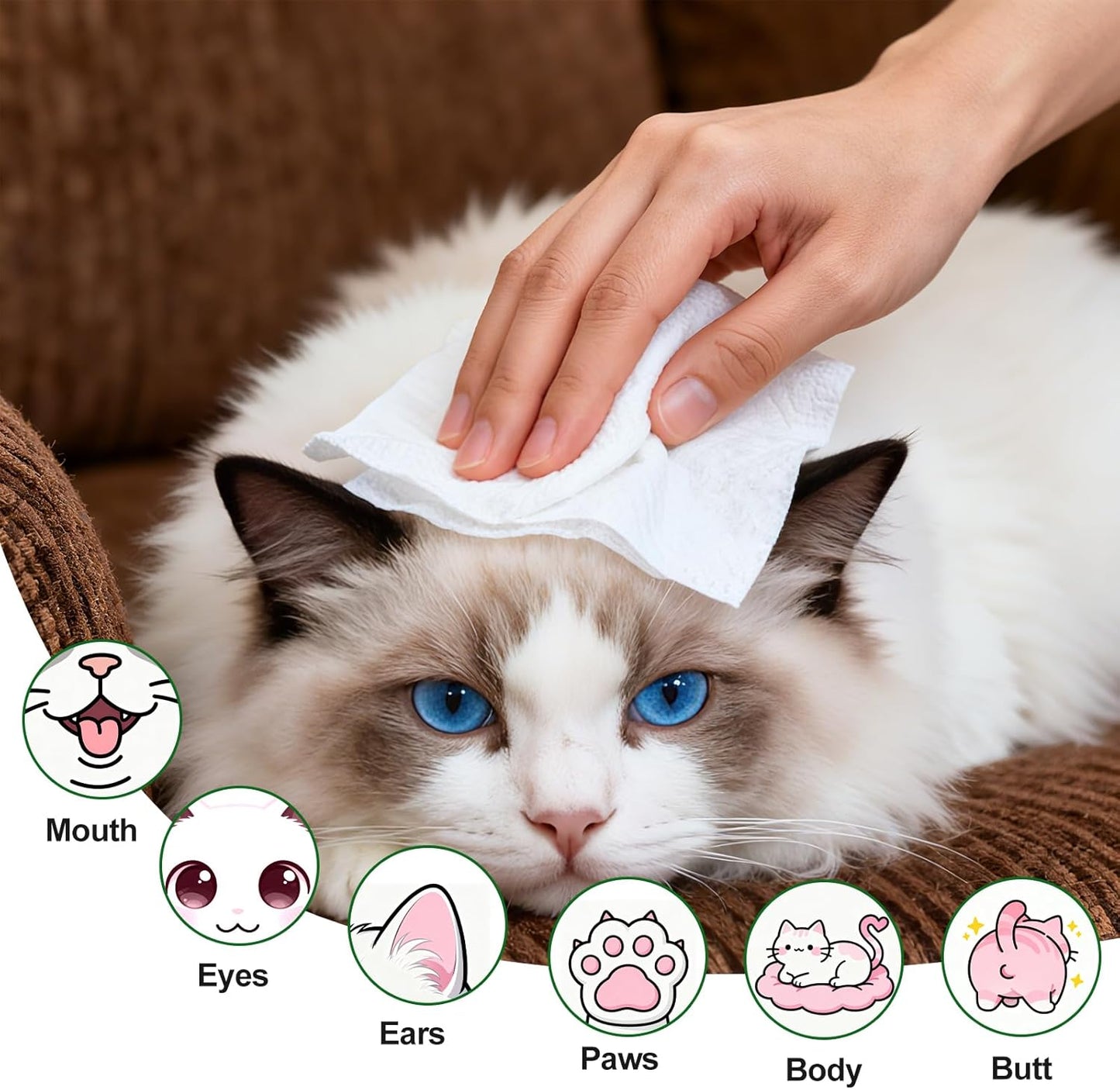 Pet Wipes for Cats and Dogs, Deodorizing, Cleaning and Grooming for Paws, Face and Body, Hypoallergenic, Unscented, 100 Count
