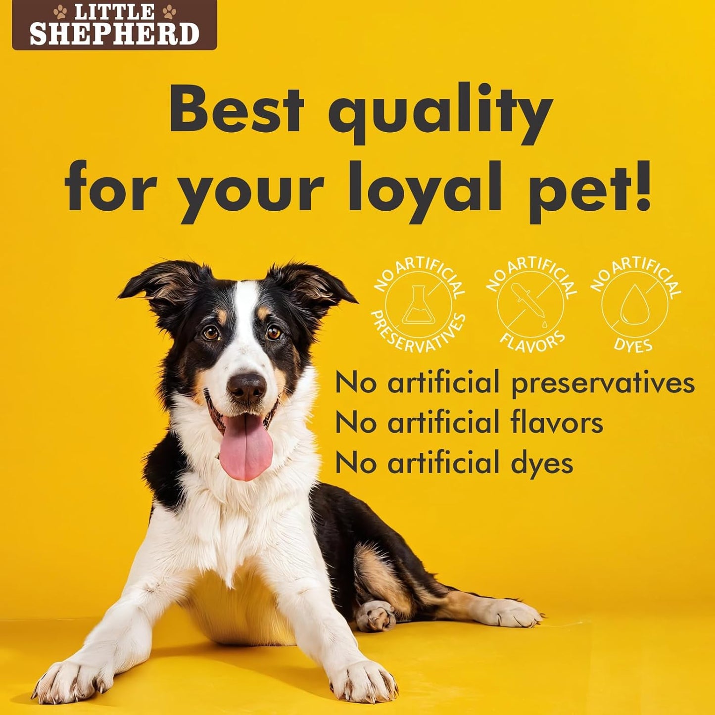 Little Shepherd Dog Probiotics