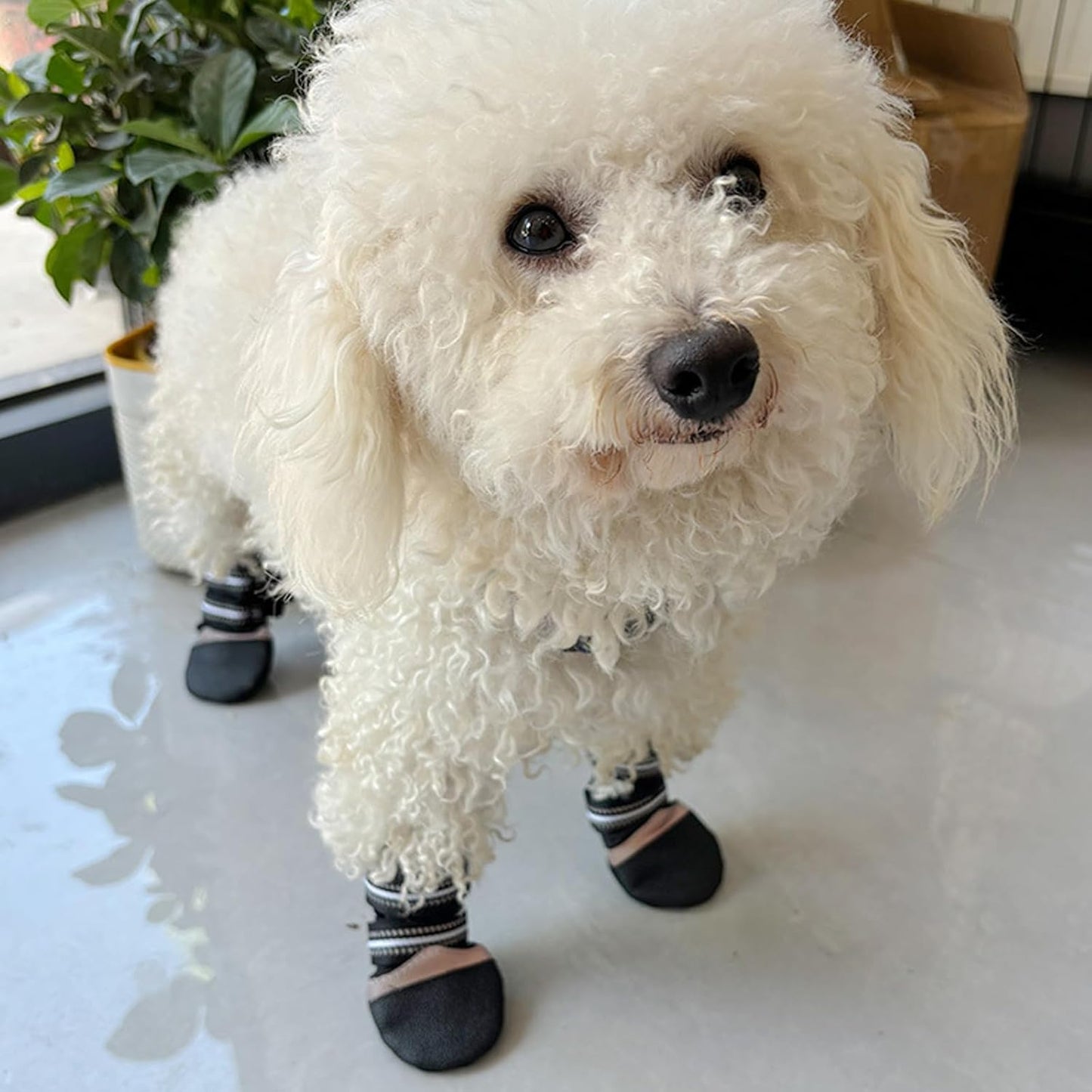 Adjustable Dog Protective with Thick Grip for Outdoor Slip Dog Paws Protective Booties