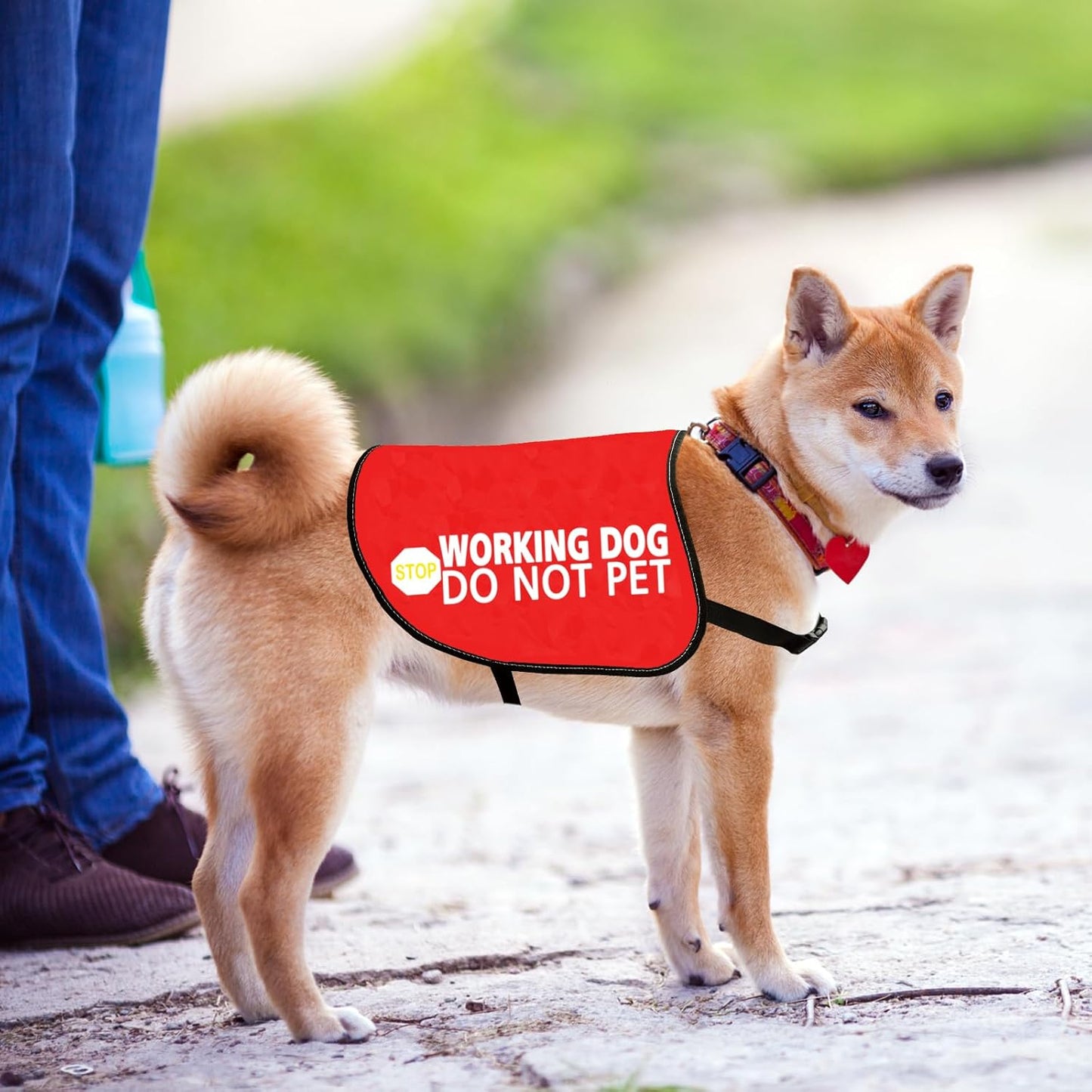 JXGZSO Nervous Dog Jacket Vest Service Dog Working Dog Do Not Pet Anxious Dogs Scared Dogs Slogan Warning Vest (Working not pet L)