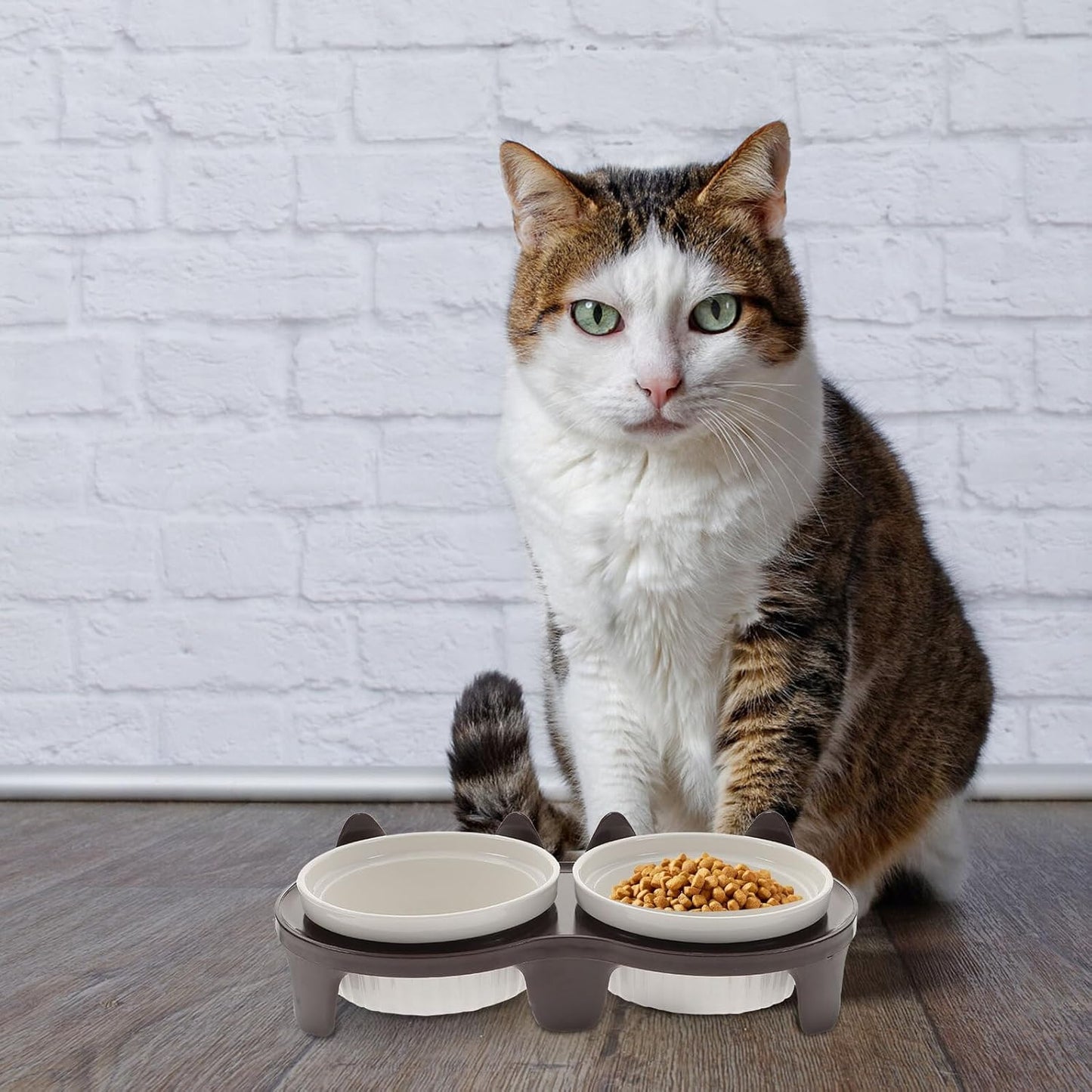 PRETYZOOM Ceramic Elevated Cat Feeding Bowl Set Thick Brown Bowls Sturdy Stand Indoor Cats Kittens