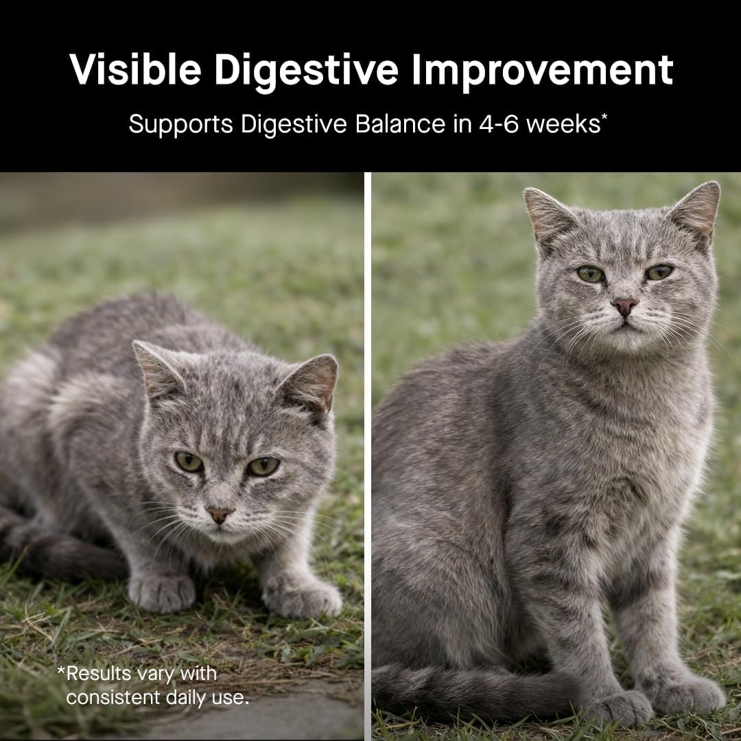 Koby Cat Probiotics | Daily Digestive Support for Sensitive Cats | Helps Loose Stool & Upset Stomach | Certified Organic | Vet Preferred, Clinical Dose | Easy-to-Use Powder