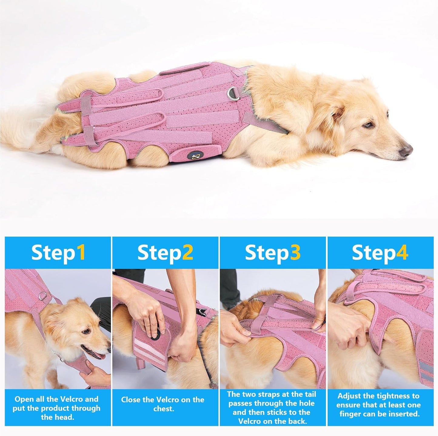 Coodeo Dog Back Brace for Dogs Arthritis, Pet Back Bracer for IVDD, Back Protector Helps Pain Relief, Surgical Recovery and Rehabilitation, Dogs Back Disease Prevention. (Pink,Medium)