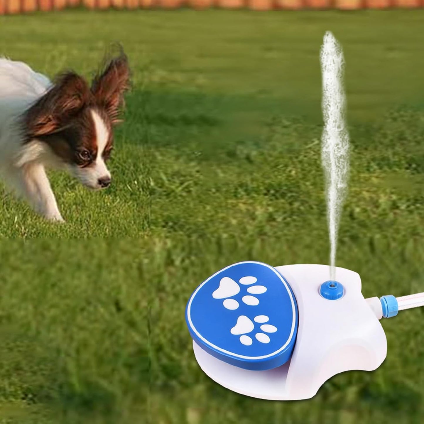 Dog Activated Outdoor Water Sprinkler, Pet Drinking Fountain Feeder with Hose