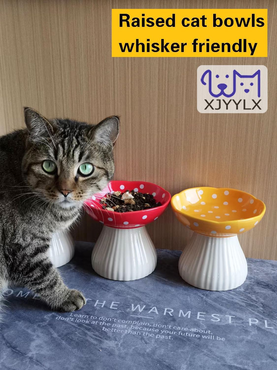 Elevated Mushroom Cat Bowls Ceramic, Raised Cat Bowls for Indoor Cats, Cute Whisker Fatigue Cat Bowl, Raised Dog Bowl Stand for Food and Water, Black 6" Wide for Adult Cats