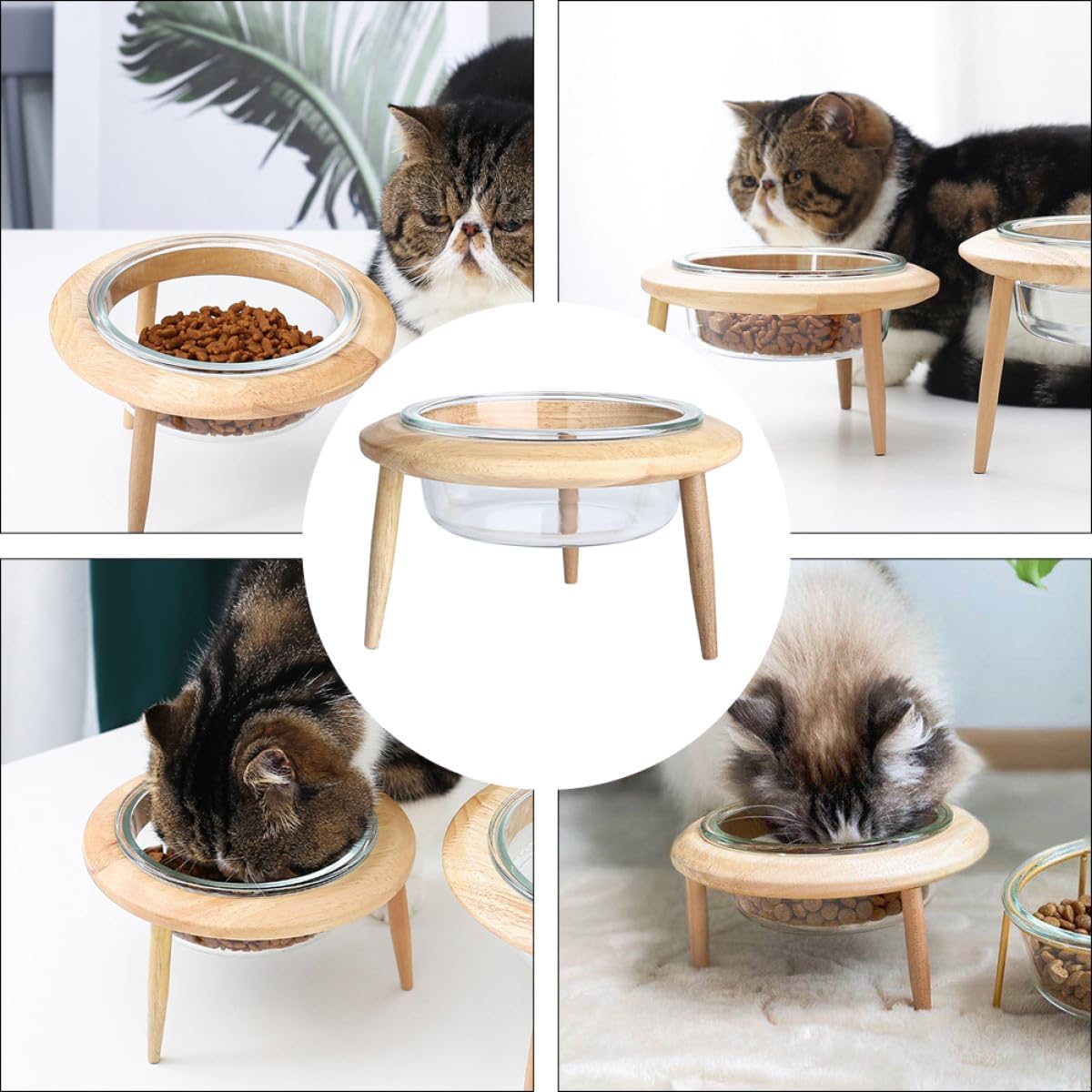 Milisten Glass Raised Pet Bowl with Wooden Stand 17.8cm 800ml Non-Spill Water Feeder and Food Dish for Cats and Dogs Elevated Feeding Supplies