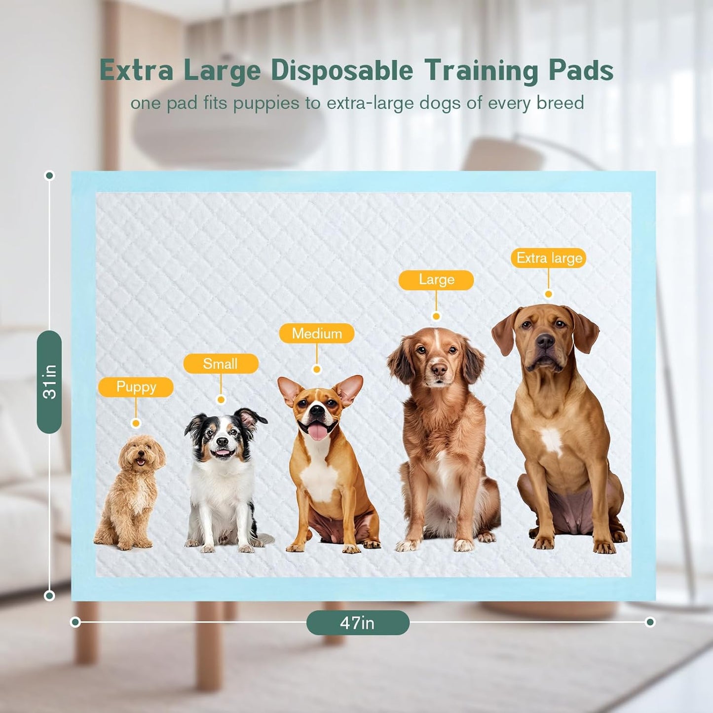 Large Puppy Pee Pads for Dogs 31" x 47" 40 Count, 6-Layer Leak-Proof XXXL Dog Pee Pads Extra Large, Super Absorbent Quick-Dry Thick Disposable Potty Training Pads