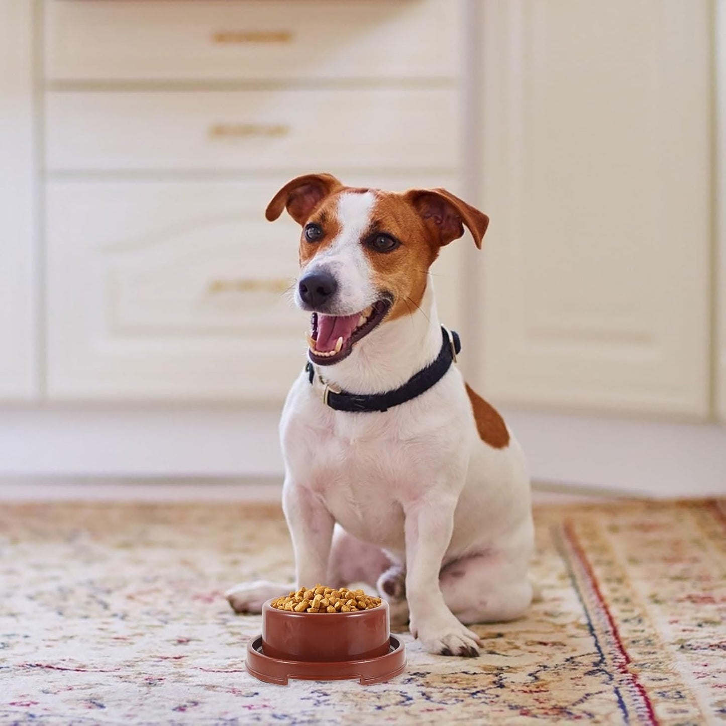 PRETYZOOM Plastic Dog Food Bowl with Design, Small Round Pp Pet Feeder for Puppies and Cats, Brown Single Pet Food Holder Suitable for Indoor Feeding