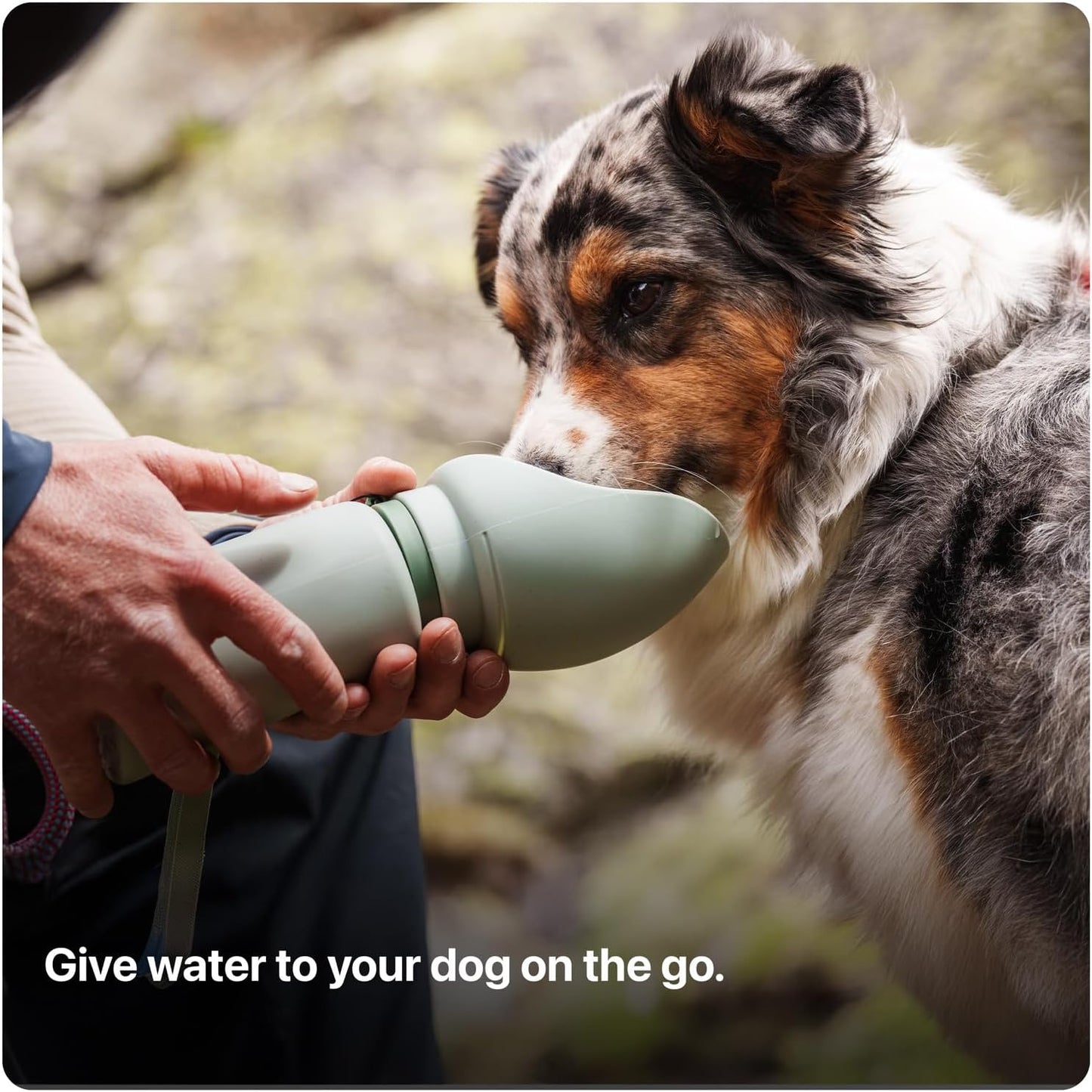 SÄKER Portable Dog Water Bottle, Collapsible Water Bottle for Dogs Perfect for Walking, Hiking and Outdoors | Works as a Portable Water Bowl | Designed in Montreal - 750ml