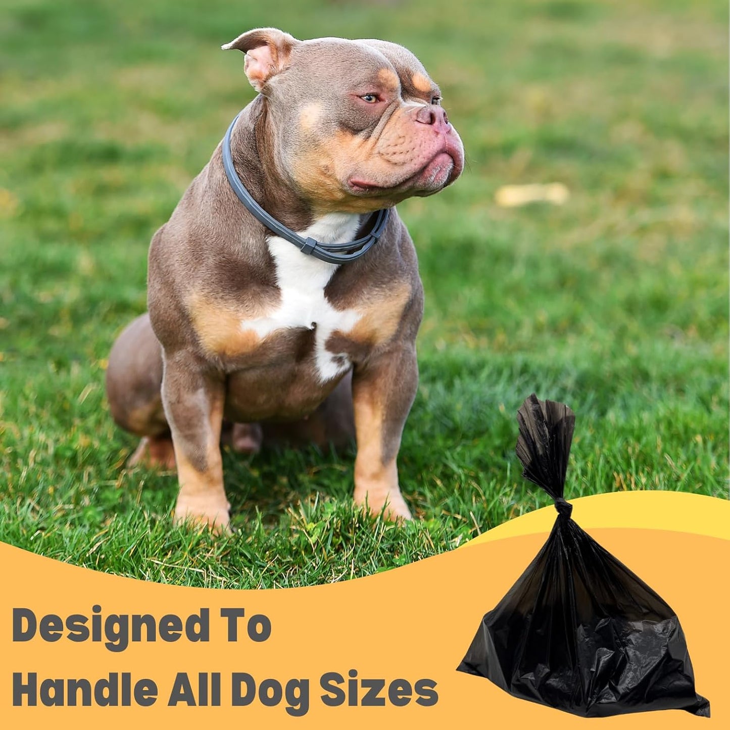 Dog Poop Bags Value Pack (1400 ct.) Extra Thick Strong Doggy Bags Guaranteed Leak-Proof Biodegradable Poop Bags w/Dispenser Eco-friendly Landfill-Degradable Refill Rolls (Black, 70 Rolls, Unscented)