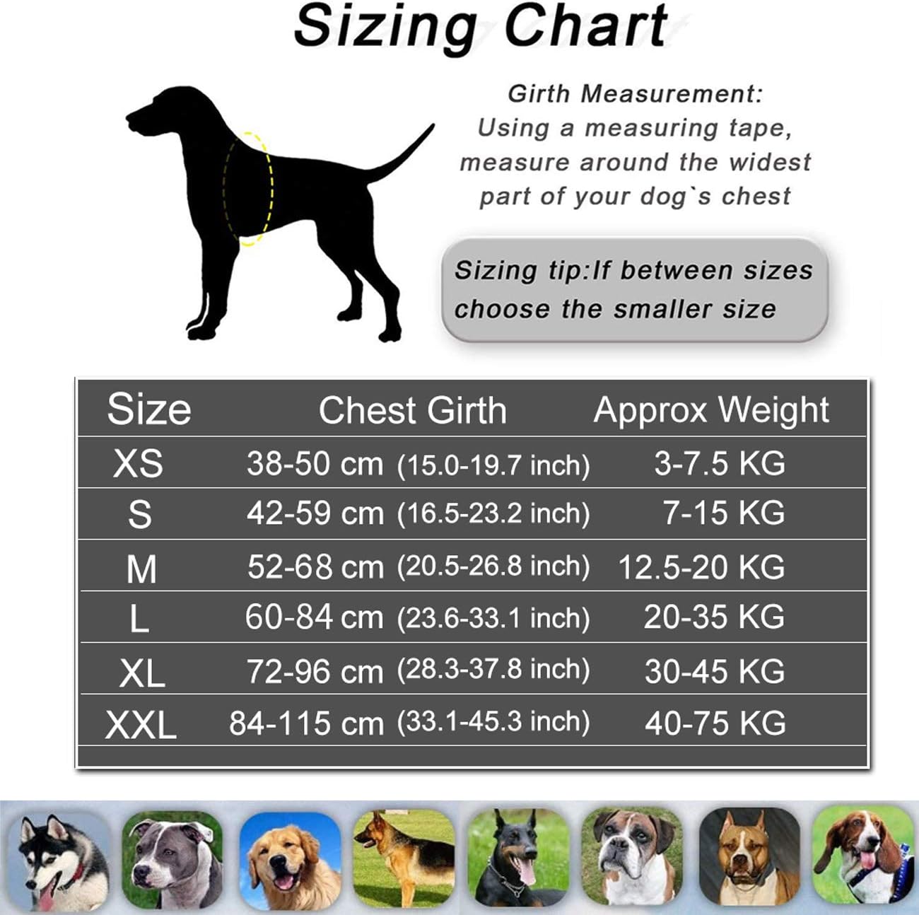 HOTGOL Personalized Dog Harness, Custom No Pull Pet Vest with Name and Phone Number to Prevent Tugging, Pulling, or Choking, Training and Walking(Blue,M)