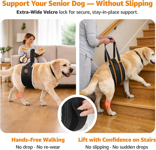 LOOBANI Dog Lift Harness for Back Legs, Portable Dog Sling for Large Dogs Hind Leg Support, Comfortable Leg Support Assistance for Elderly Dogs with Hip, ACL Brace, Senior, Injured
