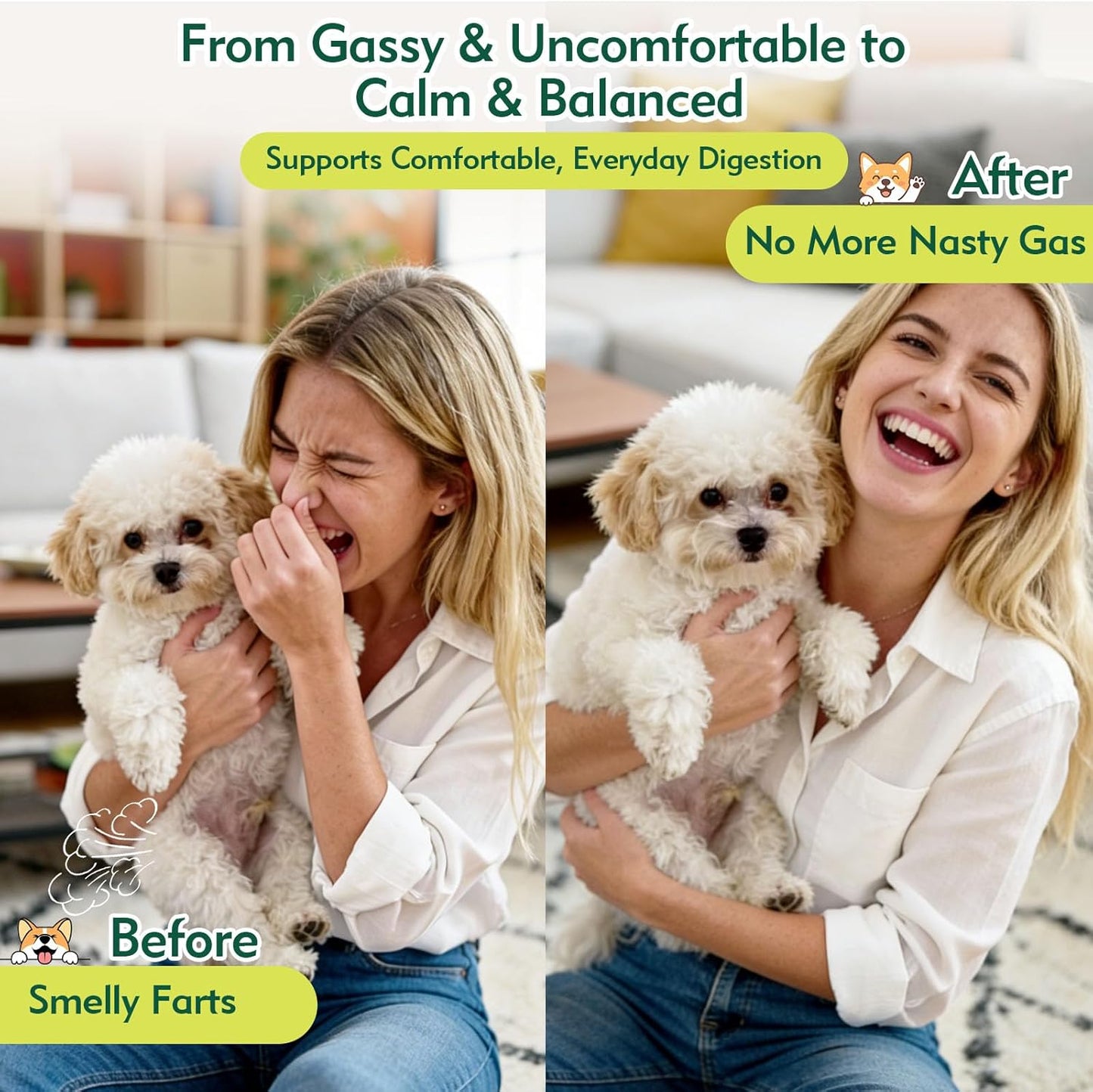 Dog Gas Relief, Relief Smelly Farts with 4B CFU Pediococcus Acidilactici Probiotics, Digestive Enzymes, Dog Fart Remedy to Help Gas & Bloating, Dogs Farts Relief, Dogs Gut Health Digestive Support