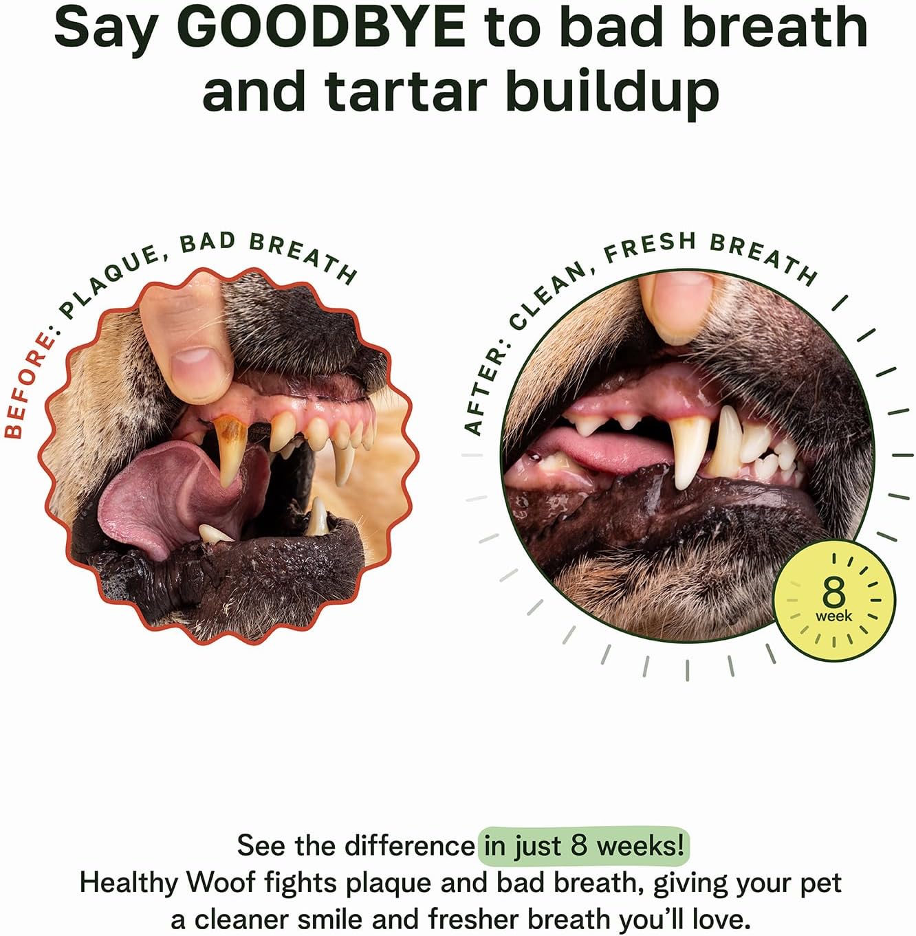 Dental Powder for Dogs - Complete Oral Care Bone Broth, Dog Teeth Cleaning Powder, Tartar Remover, Fresh Breath, Sensitive Stomach Support, Dental Care, 4.2 oz, 60 Scoops