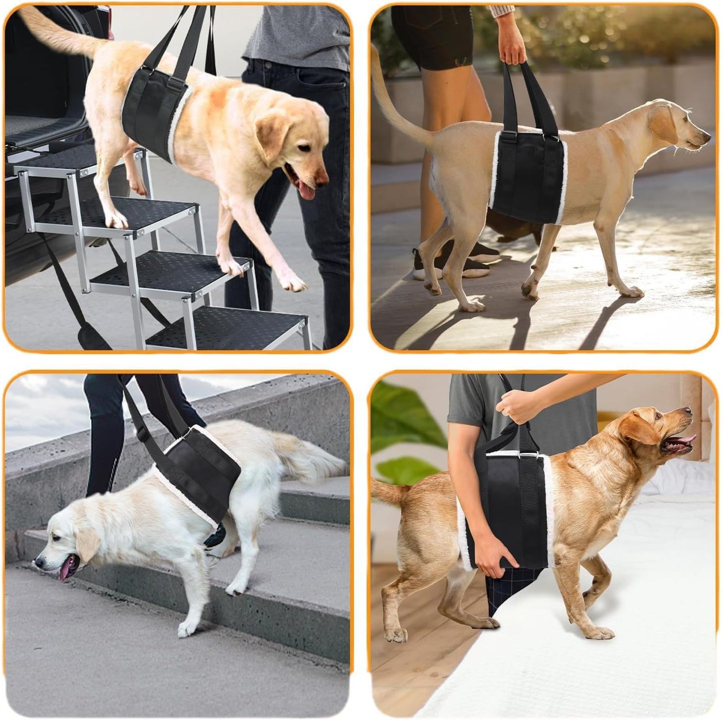 Adjustable Dog Lift Harness – Rear Leg Support Sling for Large Dogs | Mobility Aid for Senior, Injured & Post-Surgery Pets, ACL Surgery Dogs | Soft, Durable & Comfortable