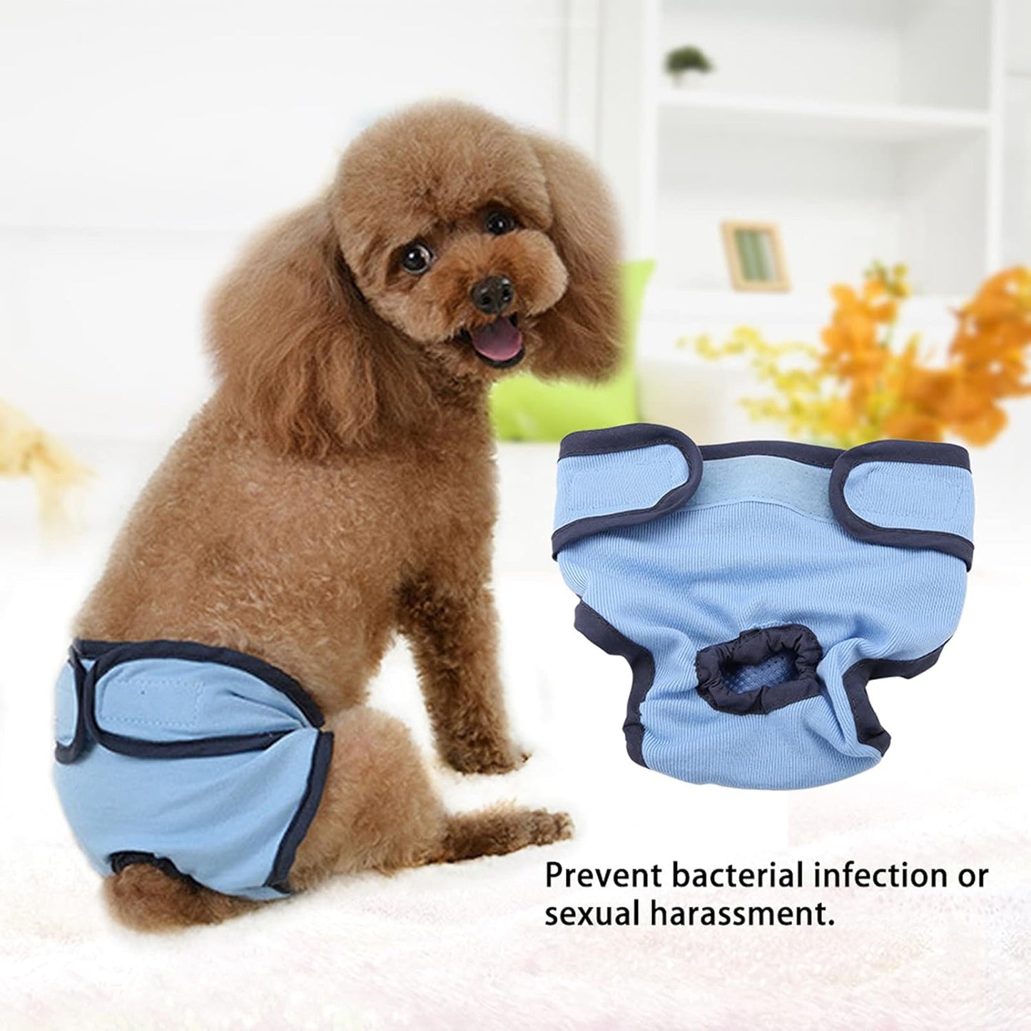 Dog Underwear Flexible Physiological Pants Puppy Female Pet Sanitary Diaper for Small Medium Large Dogs(M- Blue)