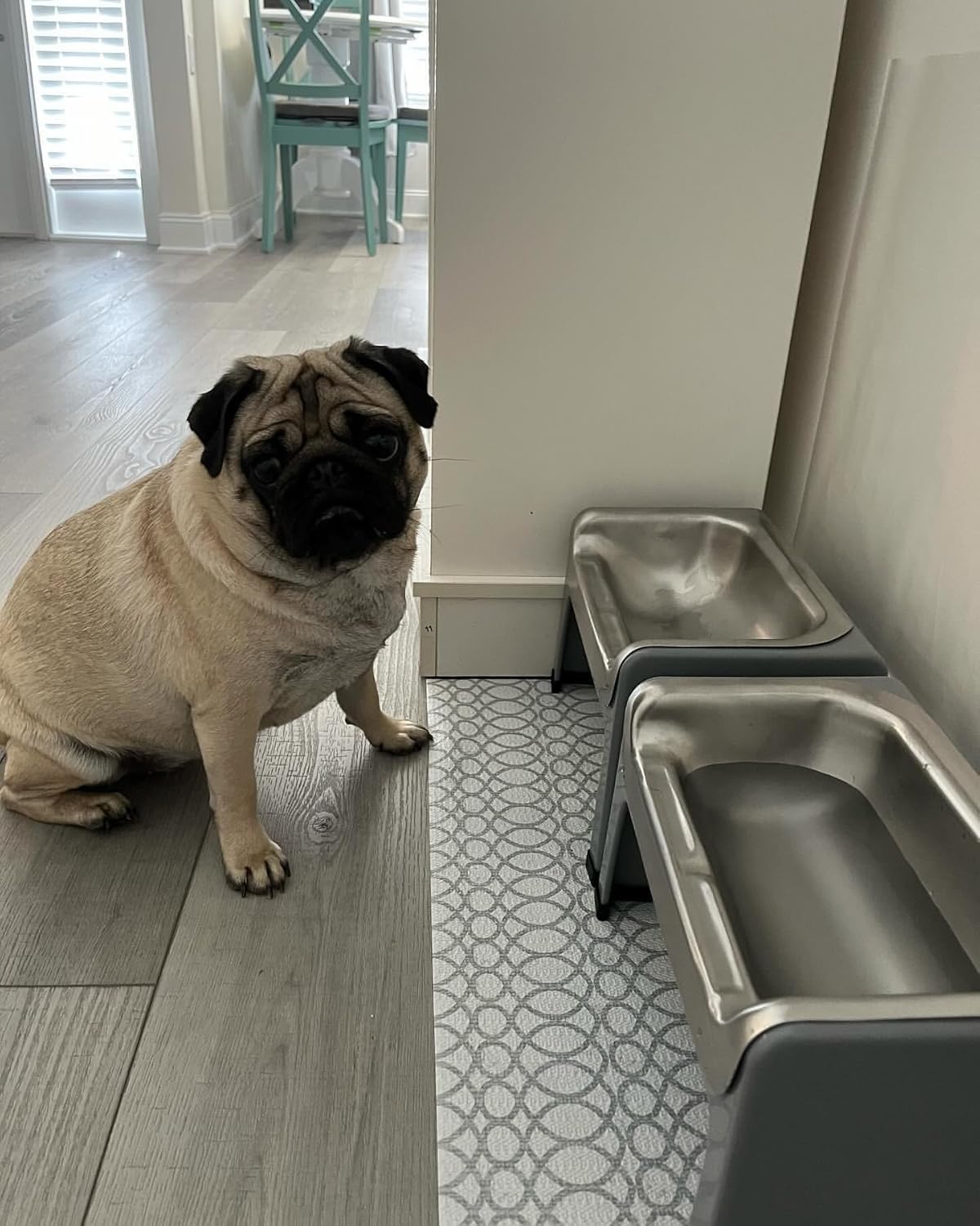 Fluff Trough 7.25 Inch Tall Elevated Dog Bowls for Medium & Small Dogs – Stainless Steel Raised Dog Bowl with Stand Holds 2 Cups of Pet Food – Vet Recommended, Dishwasher Safe Dog Feeder Station