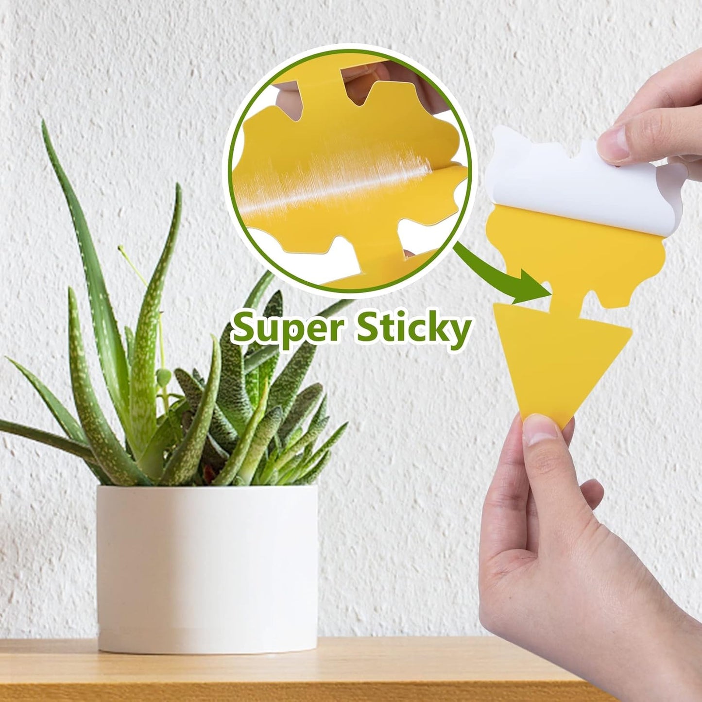 40 Pack Fungus Gnat Traps for House Indoor Yellow Sticky Traps for Gnats Sticky Traps for Plants, Dual-Sided Fungus Gnat Sticky Traps Fruit Fly Traps for Indoors