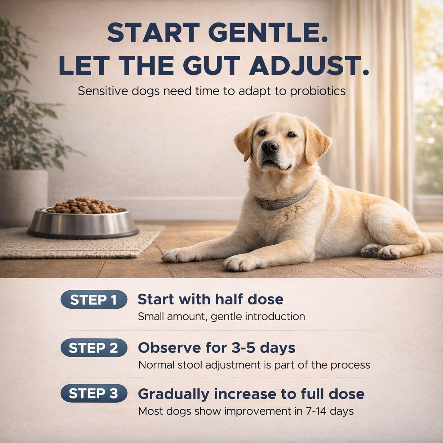 Probiotics for Dogs – Dog Probiotic Soft Chews for Digestive & Gut Health, Yeast Balance,3 Billion CFU with Prebiotic Inulin & Pumpkin, Gentle Formula for Sensitive Stomachs, Chicken Flavor, 90 Count