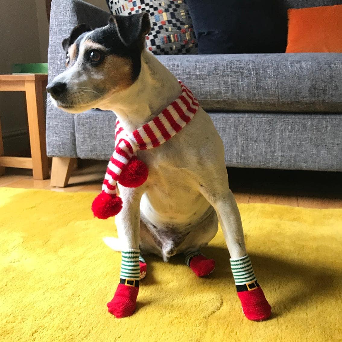 Talking Tables Anti Slip Christmas Dog Socks with Red & Green Elf Design | Pack of 4 Paw Protectors Size Small - Mediums, Festive Pet Accessories for Winter