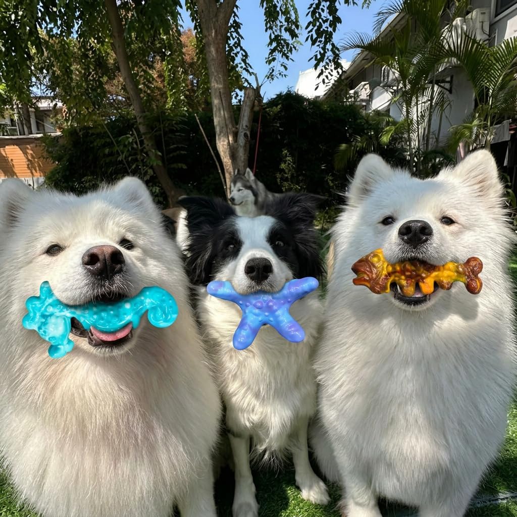 Dog Toys for Aggressive Chewers,3 Pack Indestructible Bone Toy, Ocean Series,Bacon Flavored,Durable Nylon Chew Toys for Medium & Large Breeds, Teeth Cleaning, Keep Them Busy