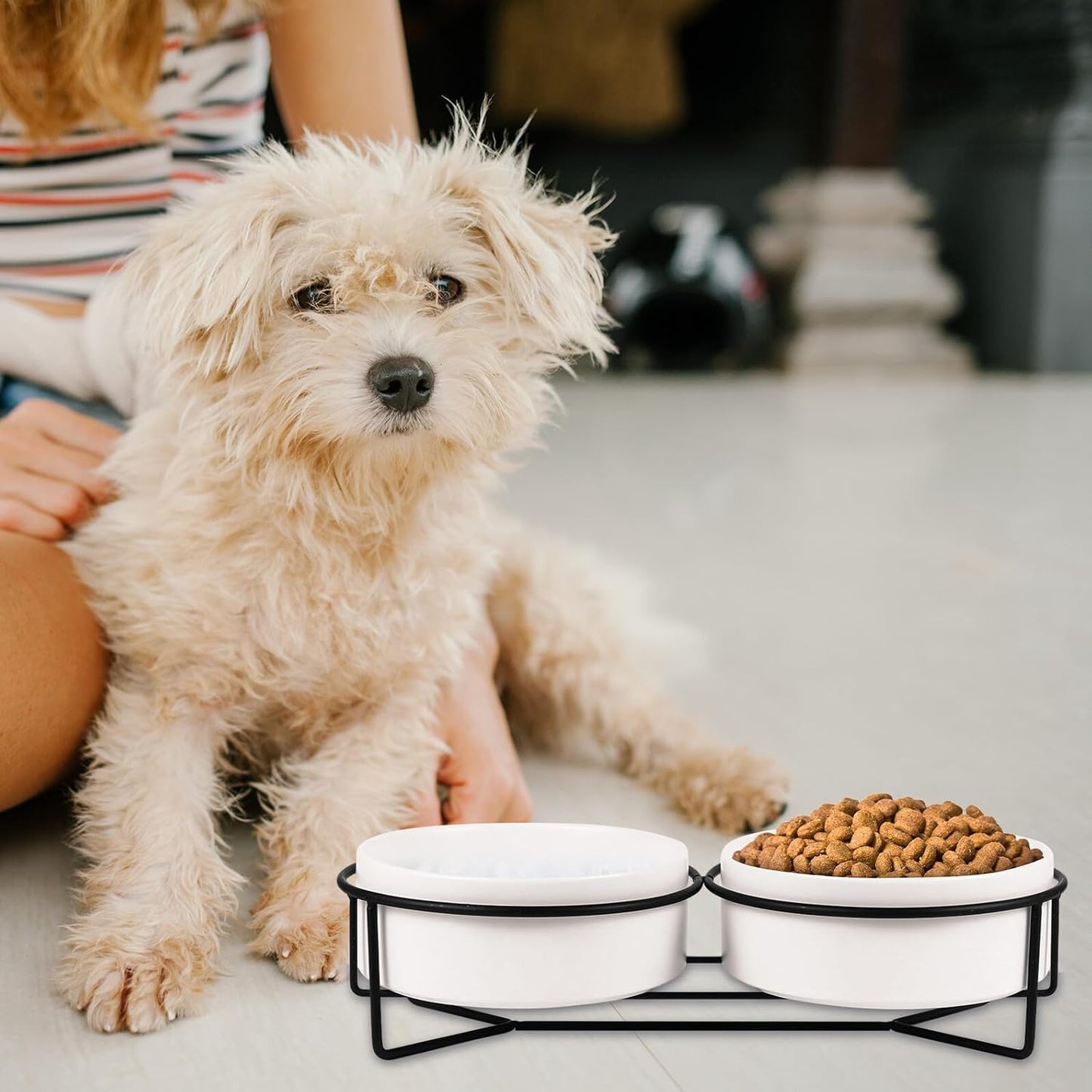 PRETYZOOM Ceramic Pet Bowl Double Dog Bowls with Black Iron Raised Stand 13cm Spill-Resistant Cat Feeding Dish for Water and Food