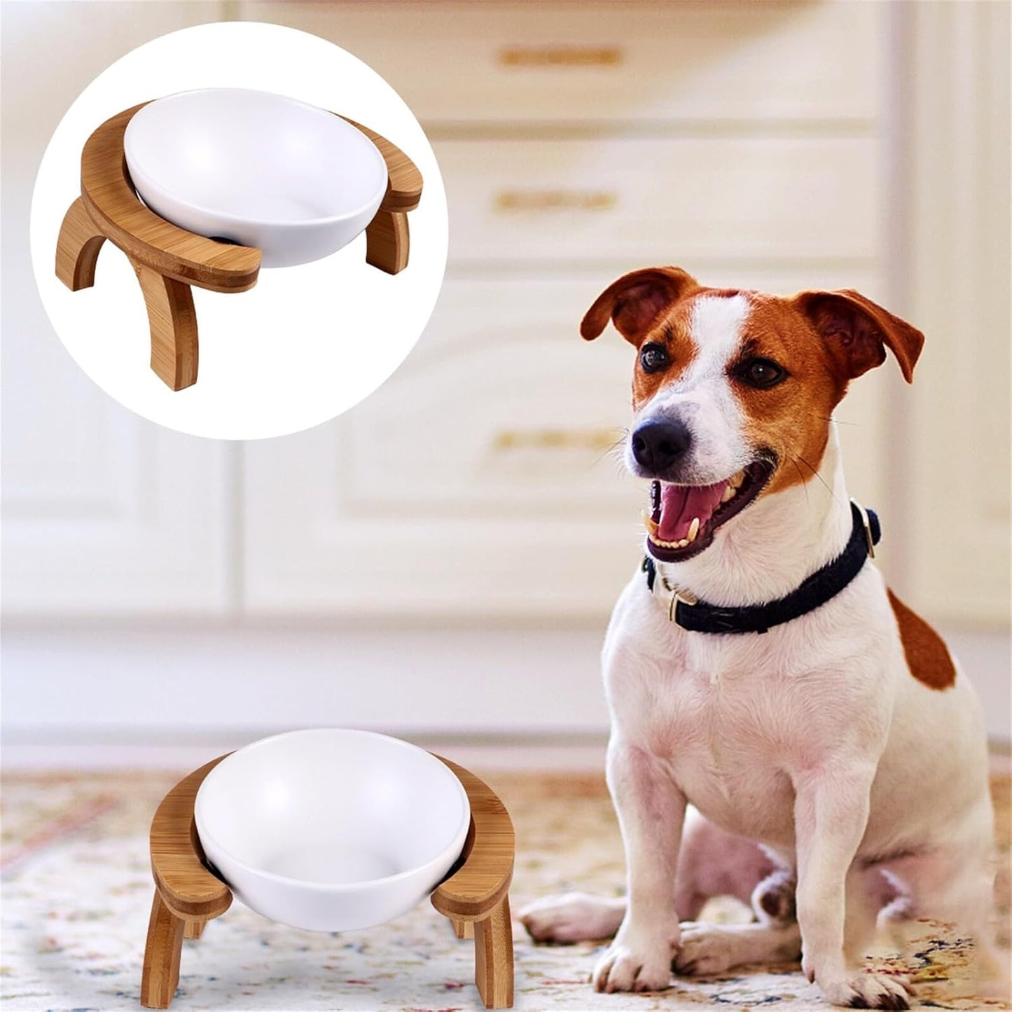 Milisten Pet Feeding Bowl Set 300ml Slanted Raised Cat Feeder with White Food Bowl and Rainbow Wooden Stand for Indoor Cats and Kittens