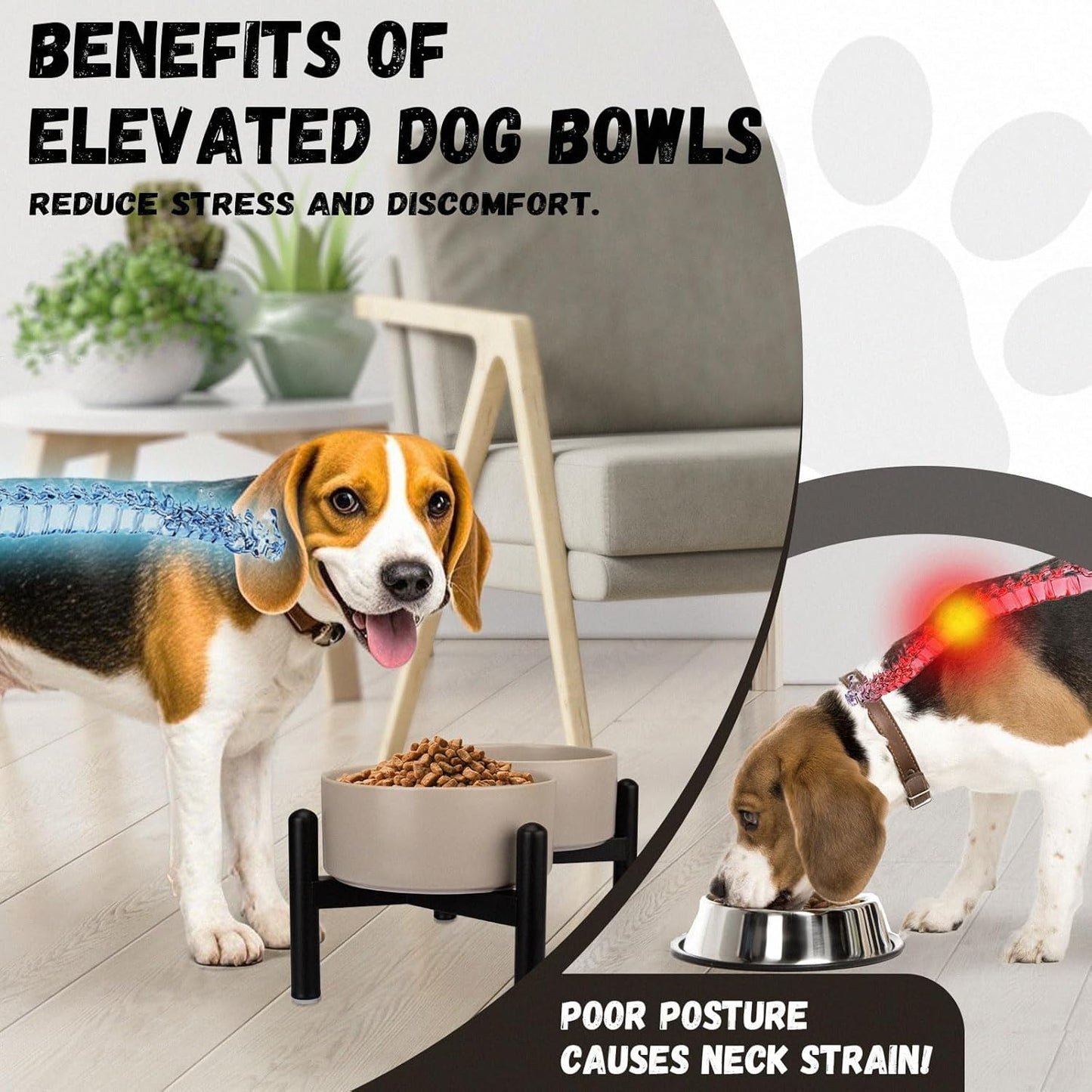 Raised Ceramic Dog Bowl Set - Elevated Double Dishes with Stainless Steel Stand - Food and Water Bowls for Small to Medium Dogs - Each Holds 2 Cups (28.75 fl oz) - White