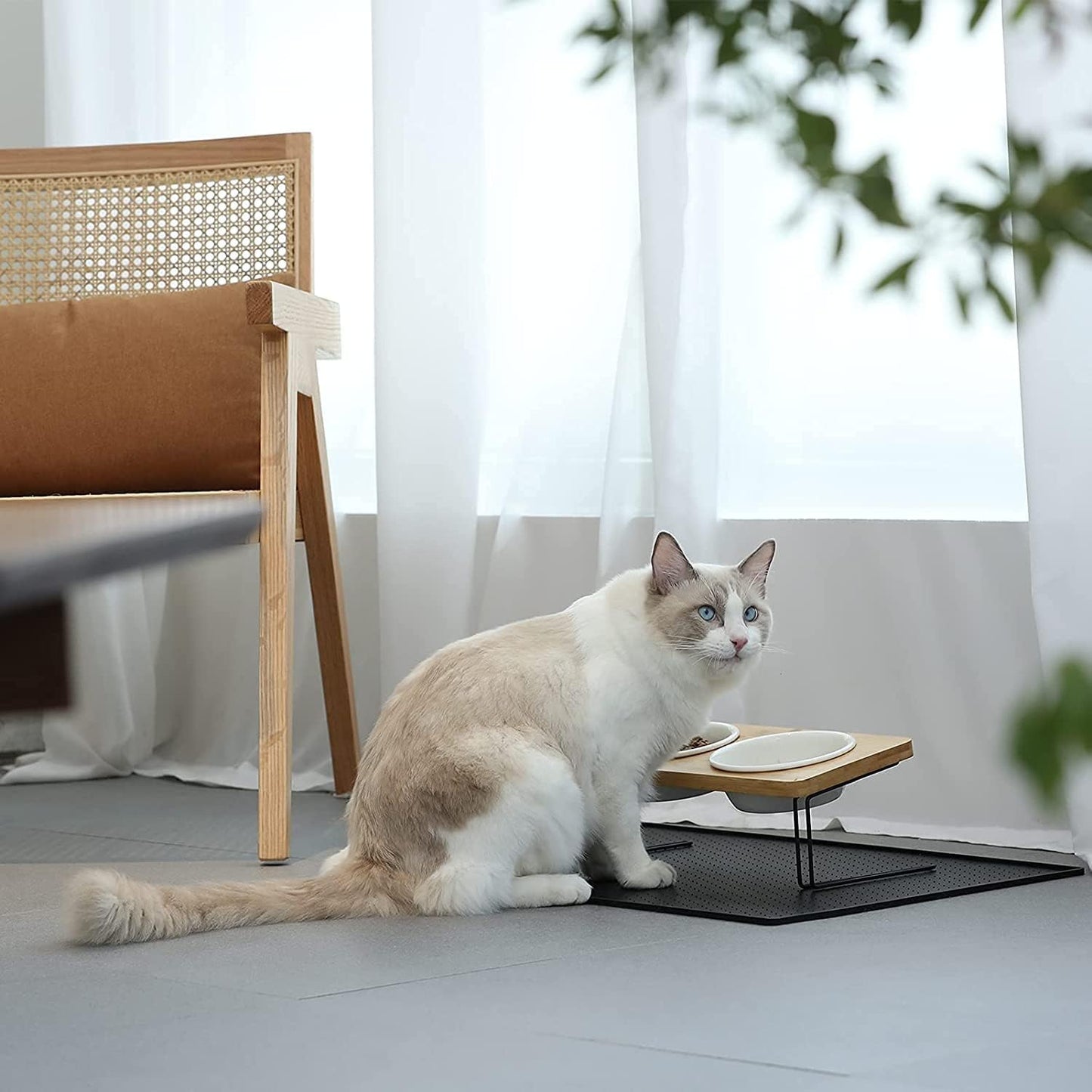 FUKUMARU 2PCS Ceramics Pet Bowl Set, Microwave Heating Food Bowls, Cat & Dog Food and Water Replacement Bowl for FUKUMARU CC50/CC70/CC80