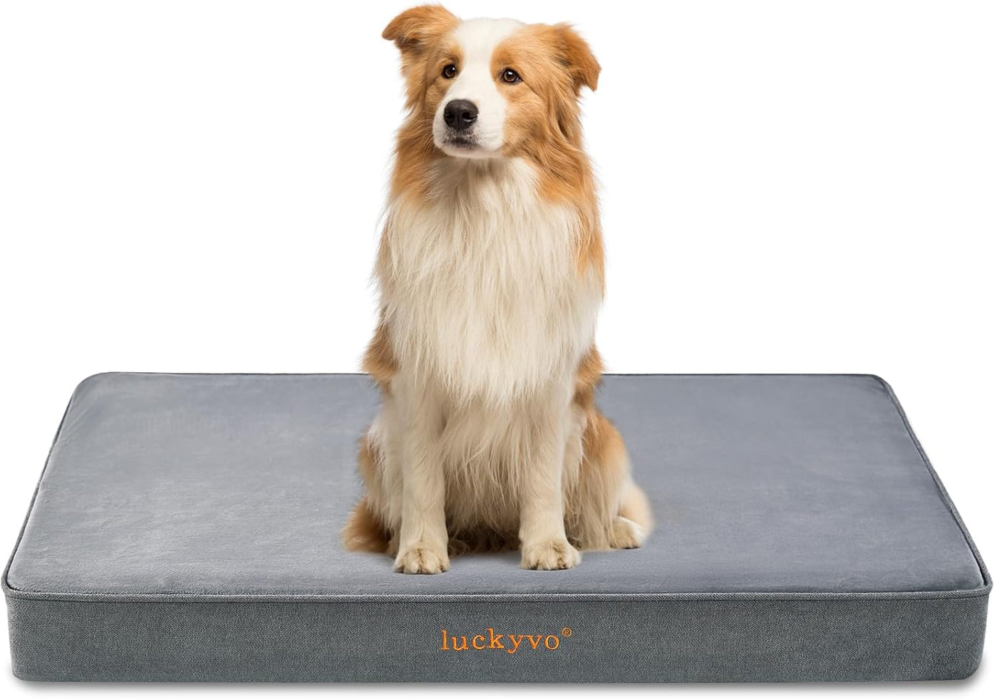 Dog Bed Mat for Large Dogs, Orthopedic Gel Memory Foam, Waterproof, Removable Cover, 35x22x3 inches, Grey