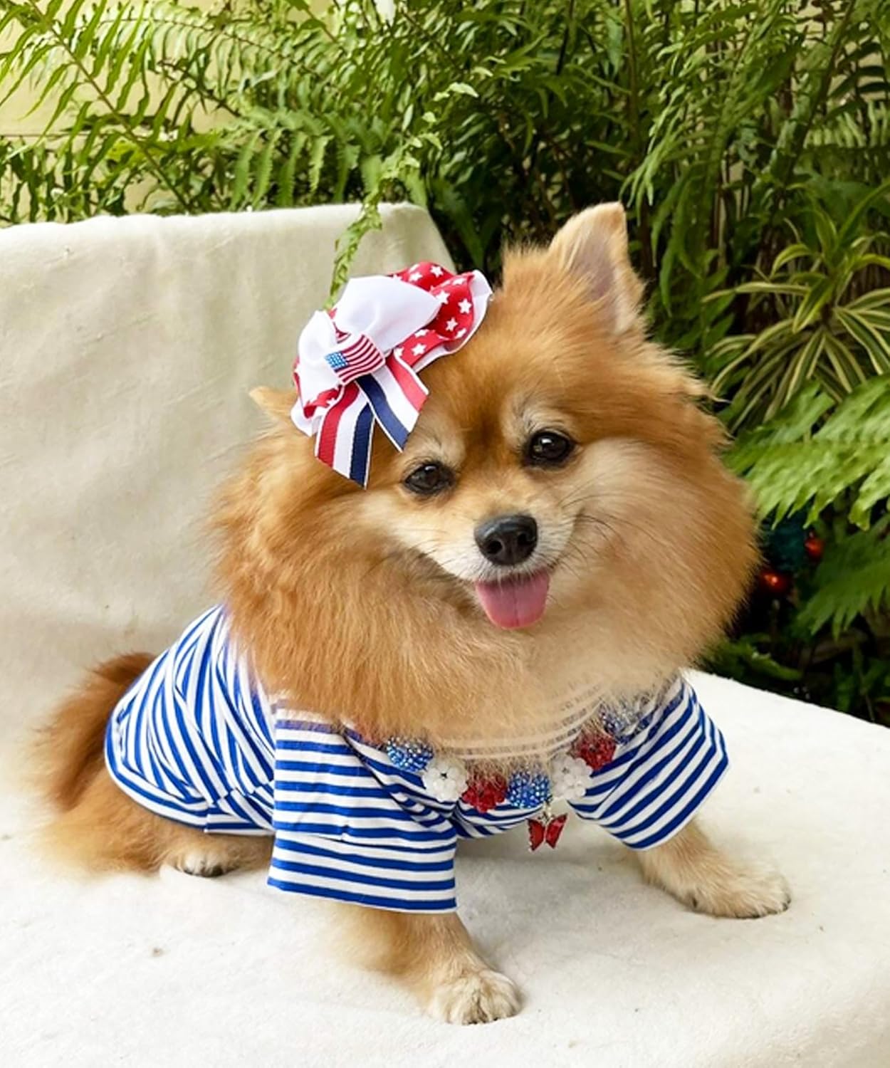 DroolingDog 3 Pack Striped Dog Shirts for Small Dogs - Girls & Boys Dog Clothes - Striped Puppy T Shirts, Small, Pack of 3