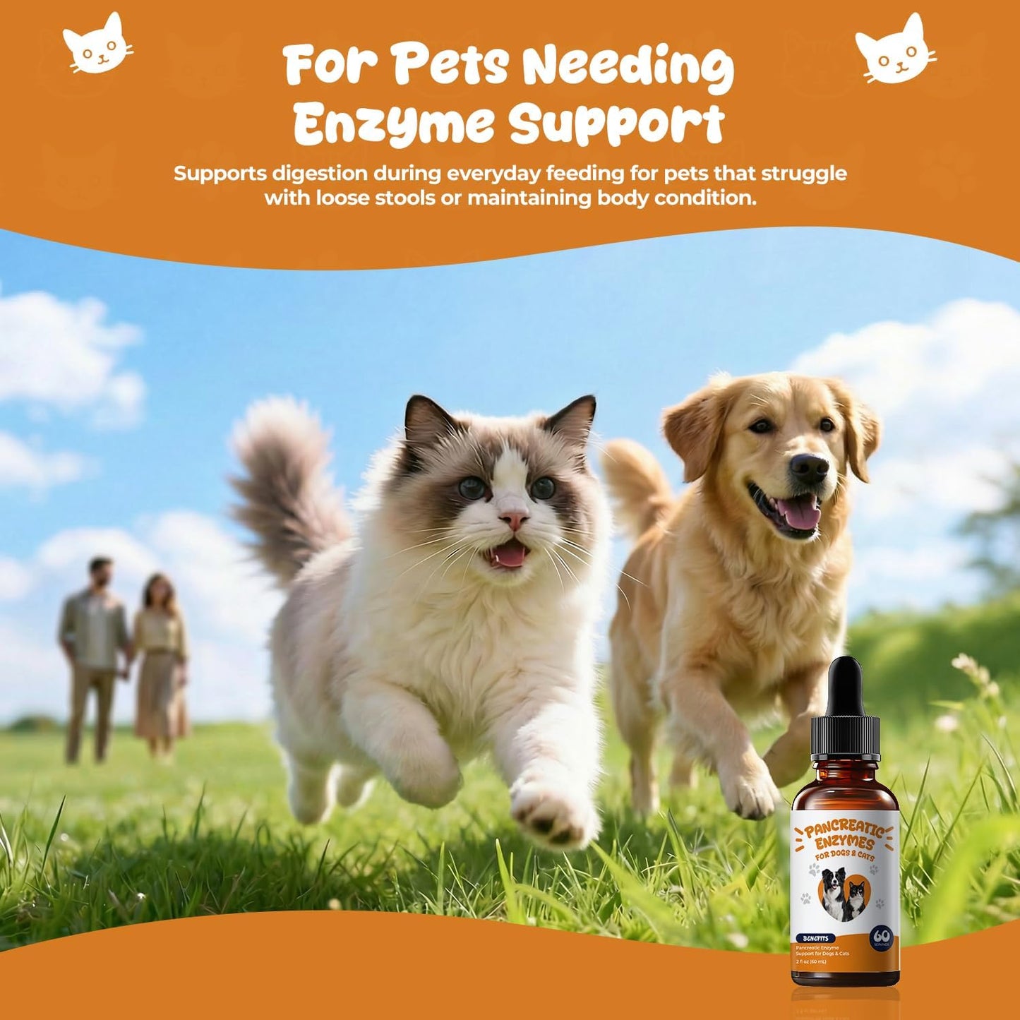 Pancreatic Enzymes for Dogs Drops – Liquid Pancreatin Digestive Enzyme Support for Pets with EPI, Supports Digestion, Weight Maintenance & Stool Consistency – 2 fl oz (60 mL)