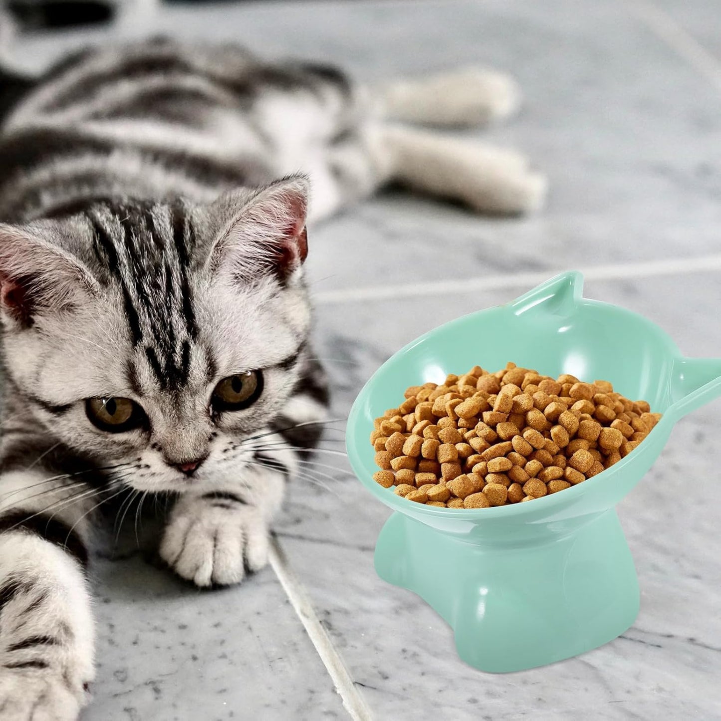Milisten 2pcs Elevated Cat Feeding Bowls Plastic Raised Pet Food Dishes with Neck Protection Slanted Design for Cats and Small Dogs in Blue Gray and Green