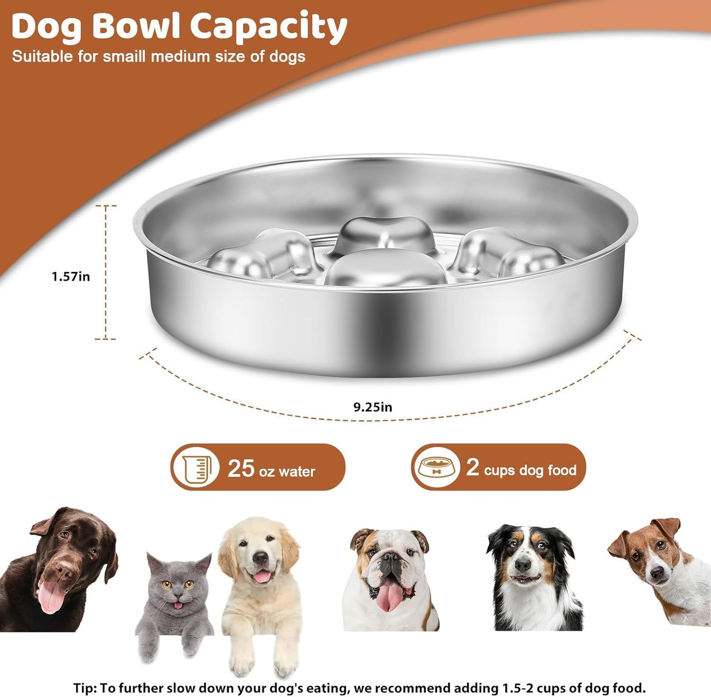 Slow Feeder Dog Bowl Stainless Steel, 2 Cups Metal Dogs Food Water Bowls with Non-Slip Pad, Stop Pet Dog Puppy Puzzle Feeder for Small & Medium Dogs to Slow Down Eating (A)