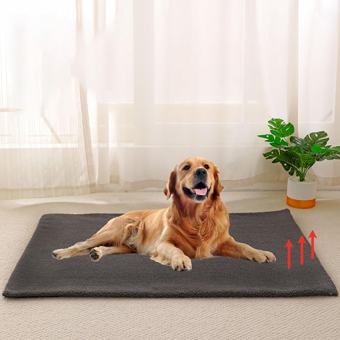 Self Warming Cat Bed - Thermal Pet Sleeping Mat, Removable Dirt-Resistant Cover, Soft Winter Mat for Dogs and Cats, Anti-Slip Warm Cushion, Large Pet Comfort Bedding, Home Sleeping Solution