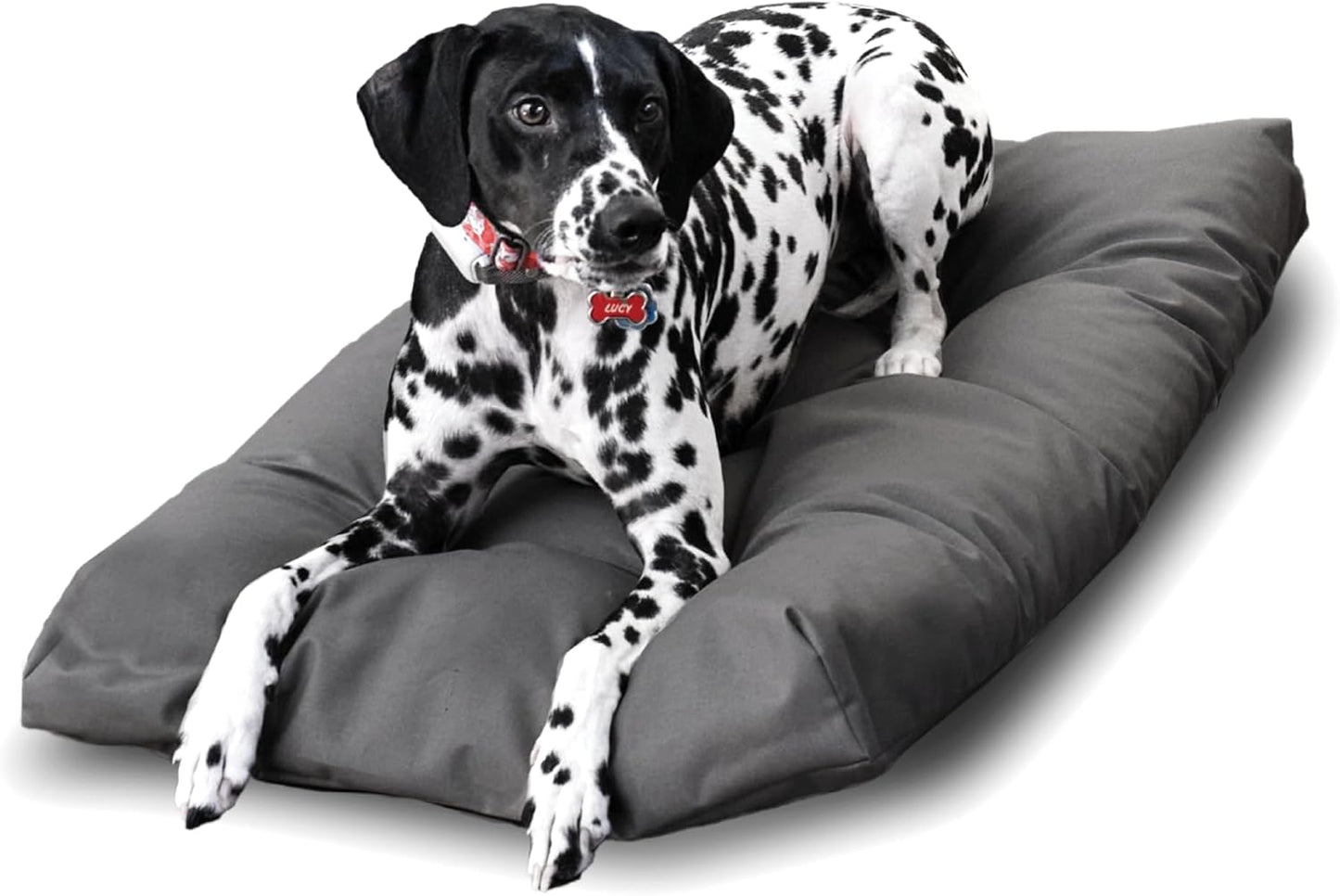 Naturepedic Organic Large Pet Bed - Super Plush Dog & Cat Beds - Ultra Supportive Dog Bed Mat - Ideal Pet Bed with No Polyurethane Foam - 35" x 22" x 4"