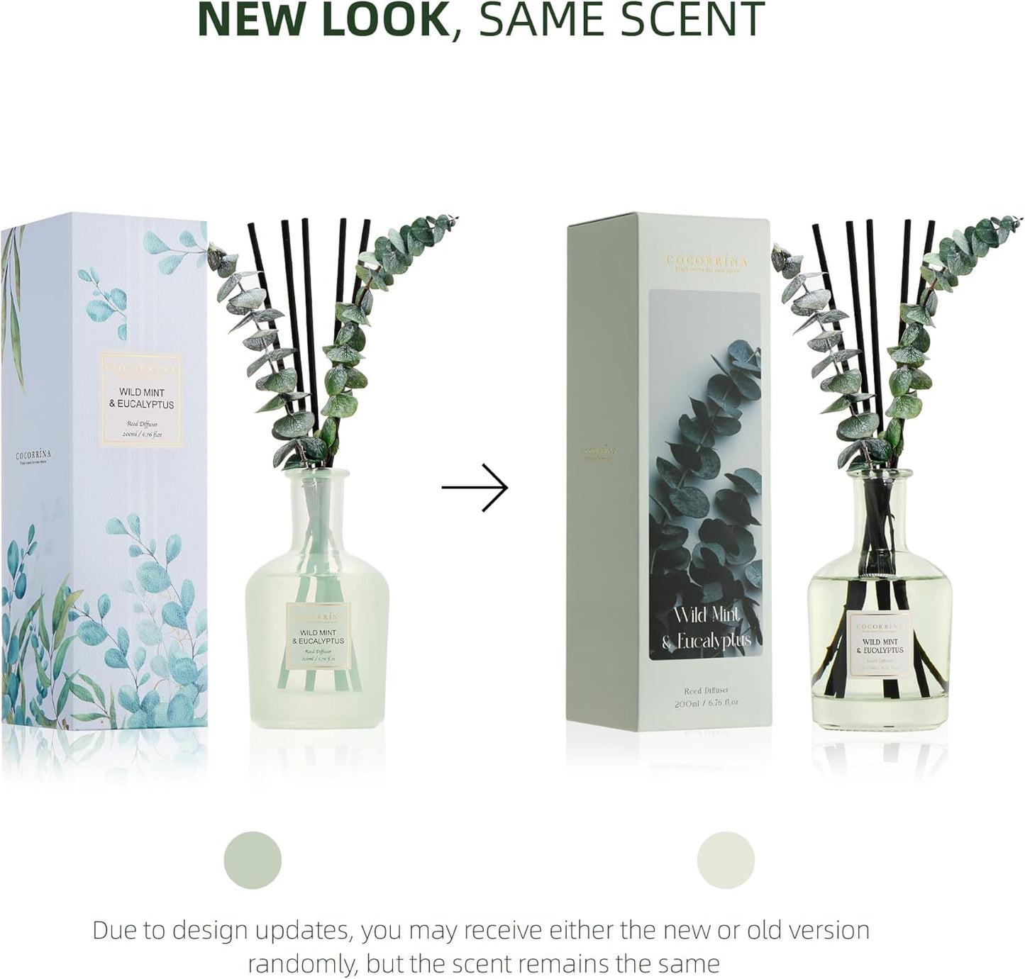 COCORRÍNA Eucalyptus & Wild Mint Reed Diffuser – 6.76 oz Essential Oil with 8 Reeds & Real Eucalyptus Sticks, Home Fragrance for Bedroom or Bathroom Décor