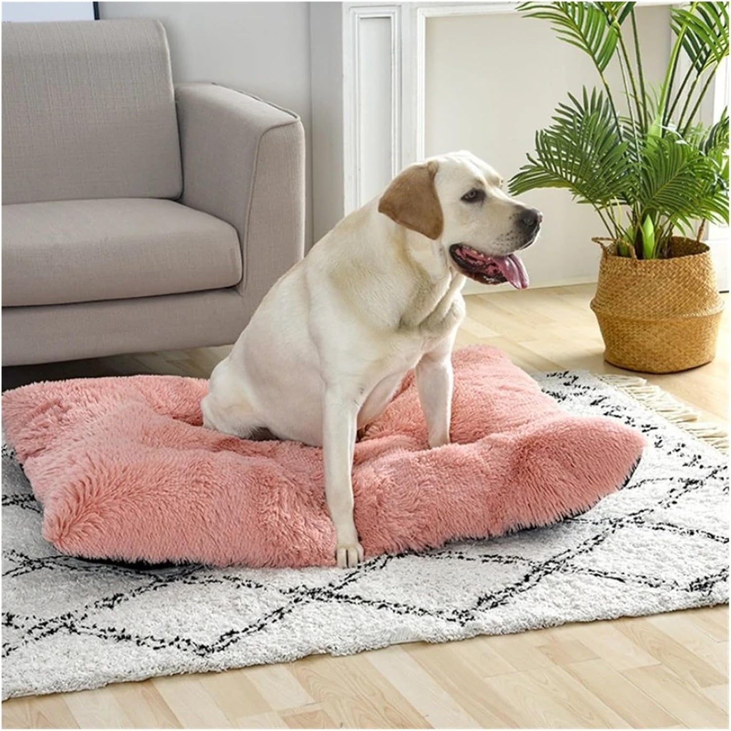 Soft Dog Beds House Soft Long Plush Best Pet Dog Bed for Dogs Basket Pet Products Cushion Cat Bed Cat Mat Animals Sleeping Sofa(Beige Brown,65x48cm)