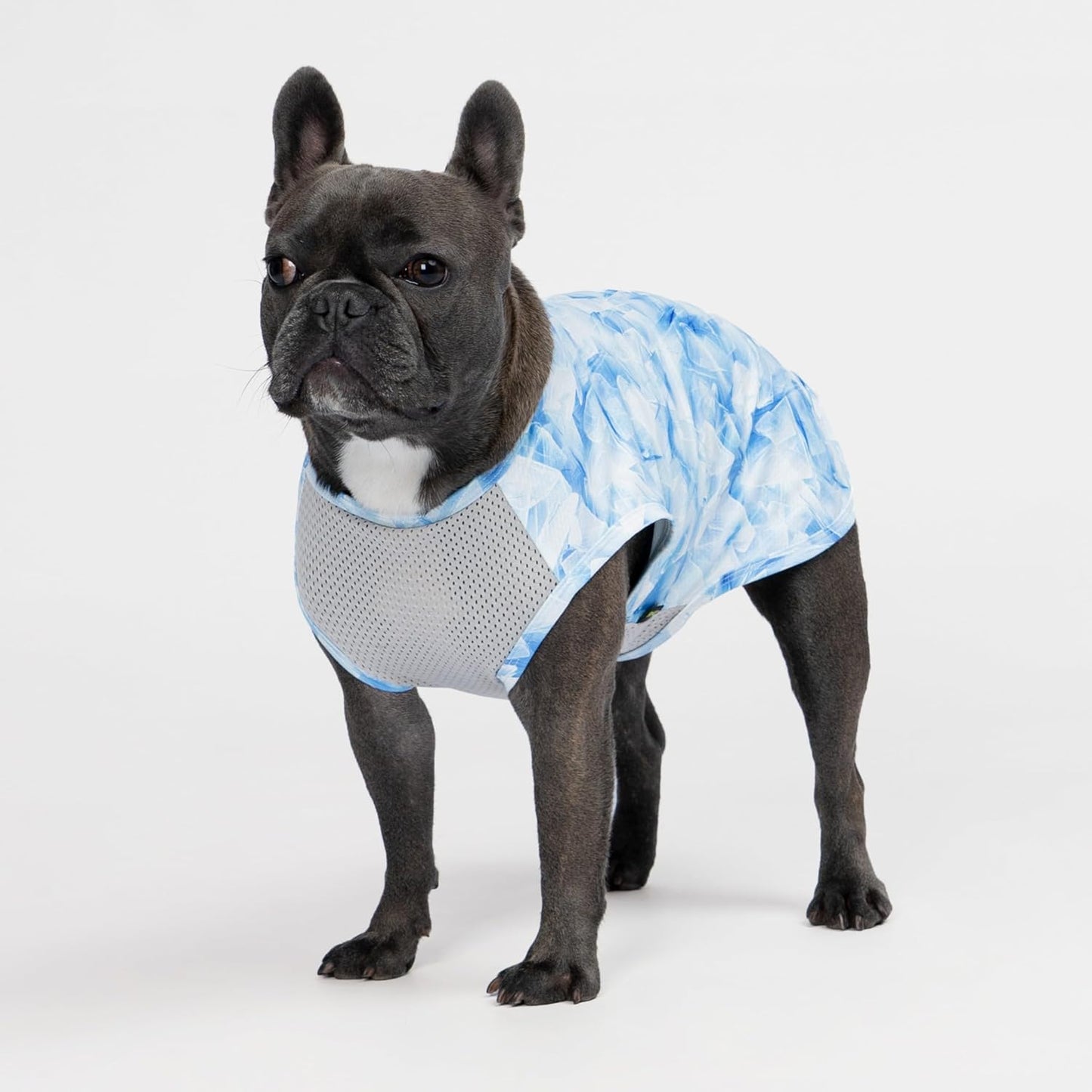 Fitwarm 2 Pack Ice Lemon UPF 50+ UV Sun Protection Dog Shirt, Lightweight Dog Cooling Vest, Quick Dry Summer Clothes for Small Dogs Boy Girl, Pet Outfit, Blue, Yellow, White, Small