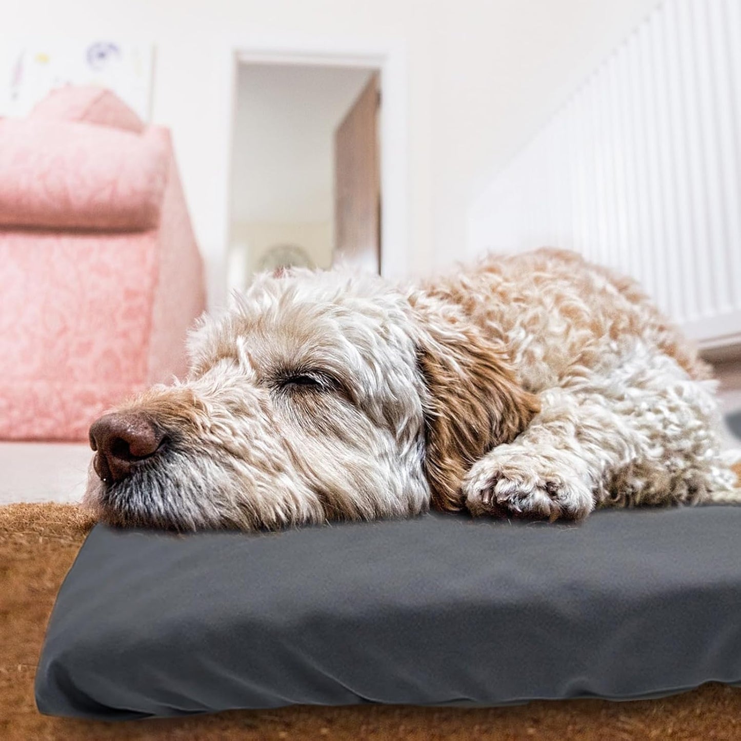 Dog Bed Cover Waterproof Replacement Machine Washable Covers for 24x18 Inch Dog Bed Heavy Duty Scratch Resistant Mattress Protector Pet Bed Cover Only Grey