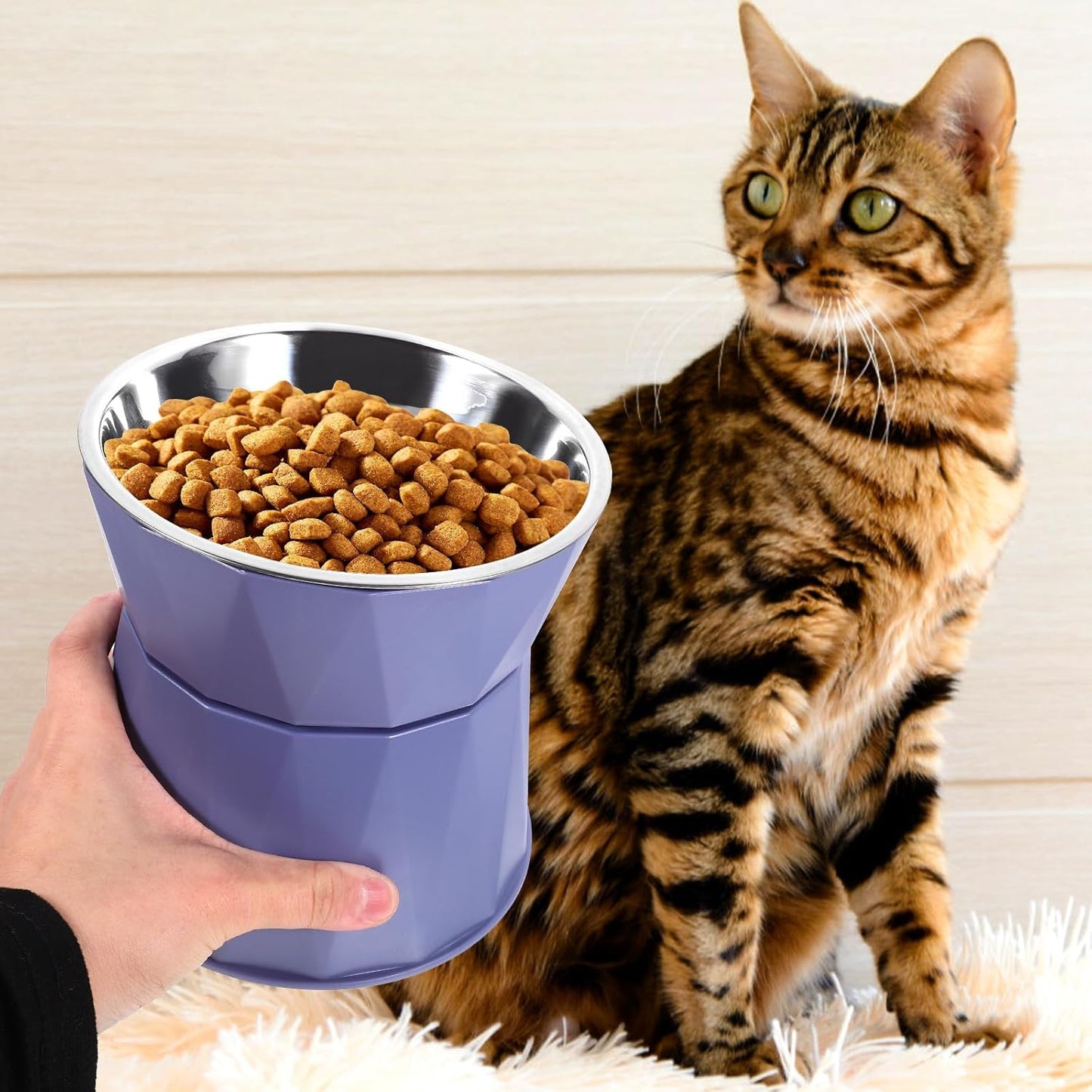 PRETYZOOM Adjustable Elevated Cat Bowls with Non-Slip Stand Blue Raised Pet Food and Water Bowls for Indoor Cats