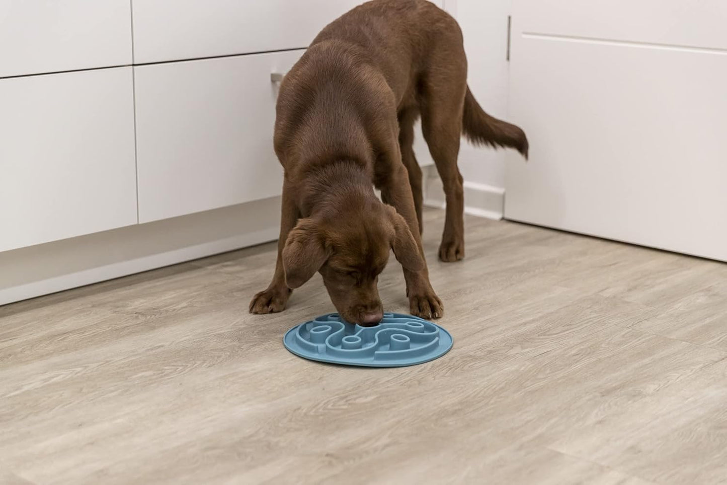 TRIXIE Slow Feeding Mat, Dog Puzzle, Prevents Bloating, Weight Control, Mental Stimulation, Ease Pet Anxiety