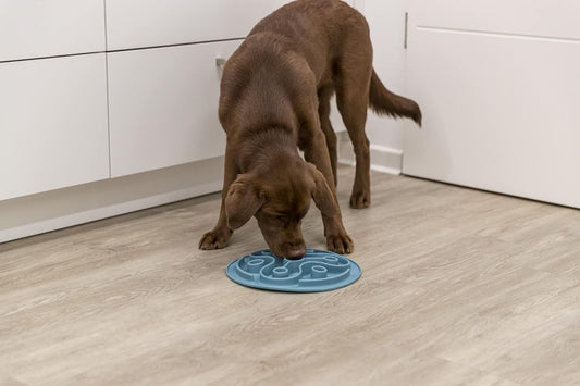 TRIXIE Slow Feeding Mat, Dog Puzzle, Prevents Bloating, Weight Control, Mental Stimulation, Ease Pet Anxiety