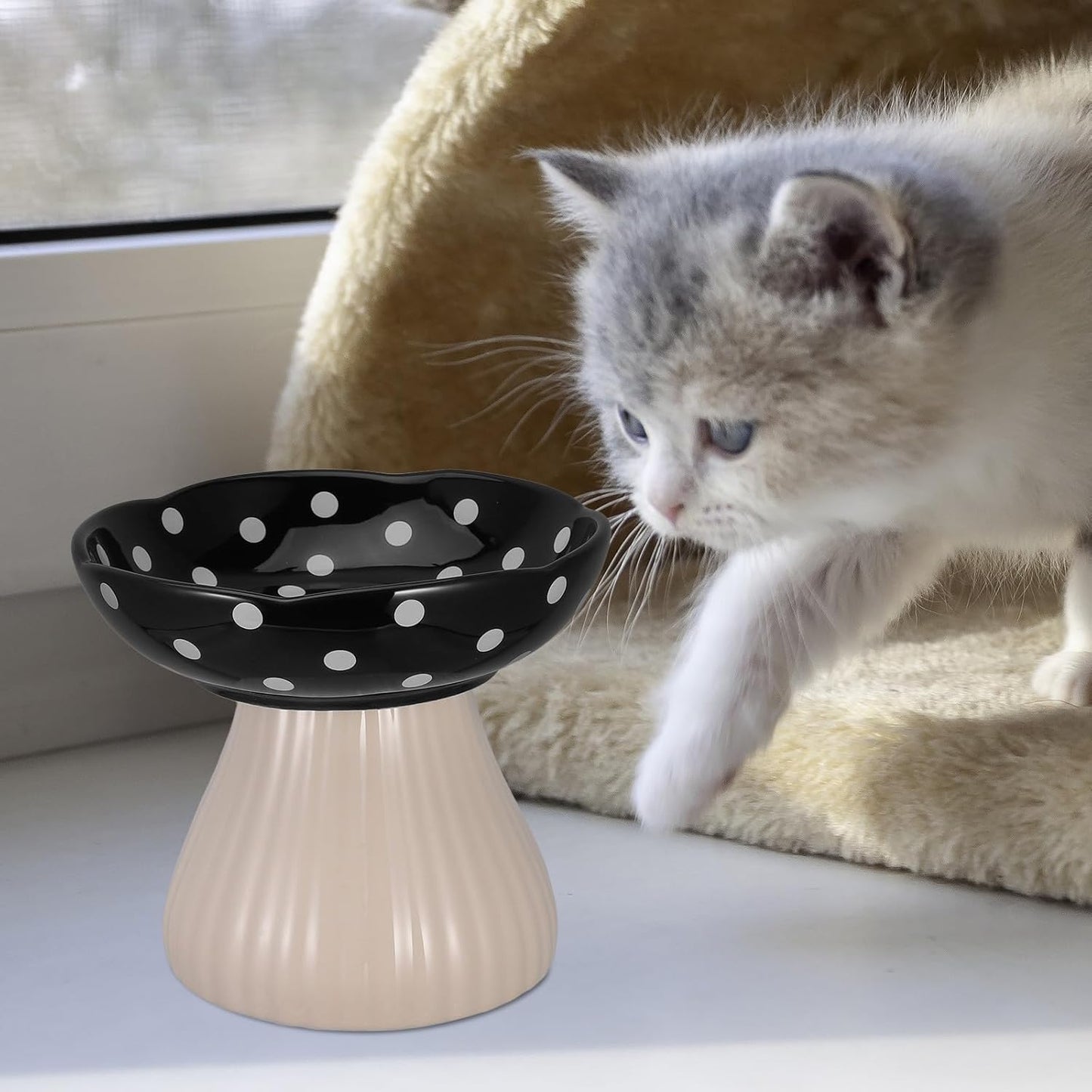 PRETYZOOM Elevated Cat Feeding Bowl and Raised Water Dish Ceramic Pet Bowl Wide Shallow Design with Black Mushroom Stand for Small Dogs and Indoor Cats